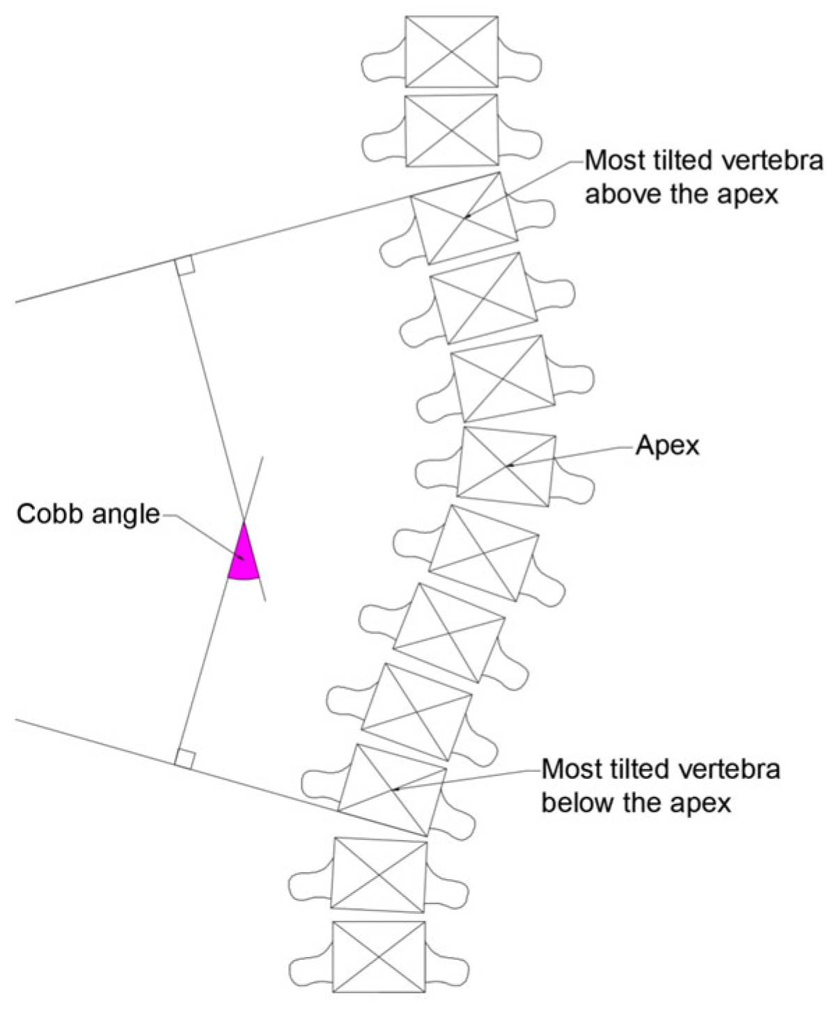 Diagnostics 15 01066 g008
