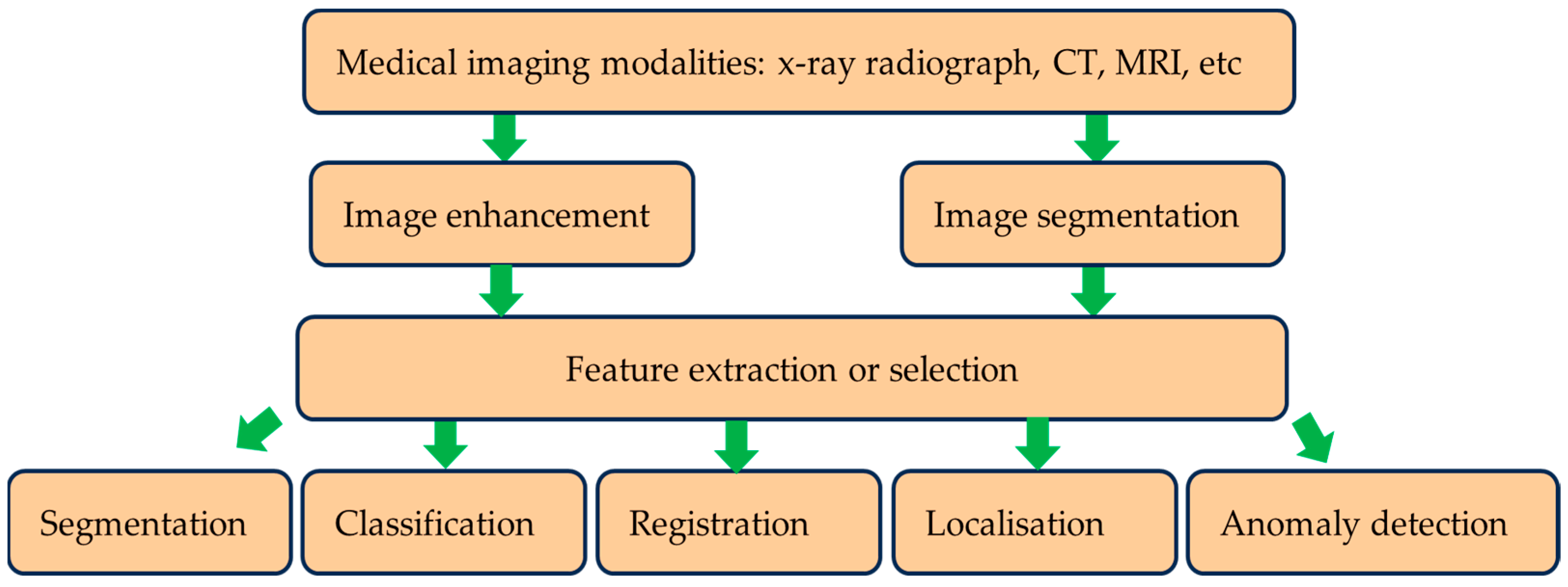 Diagnostics 15 01072 g001