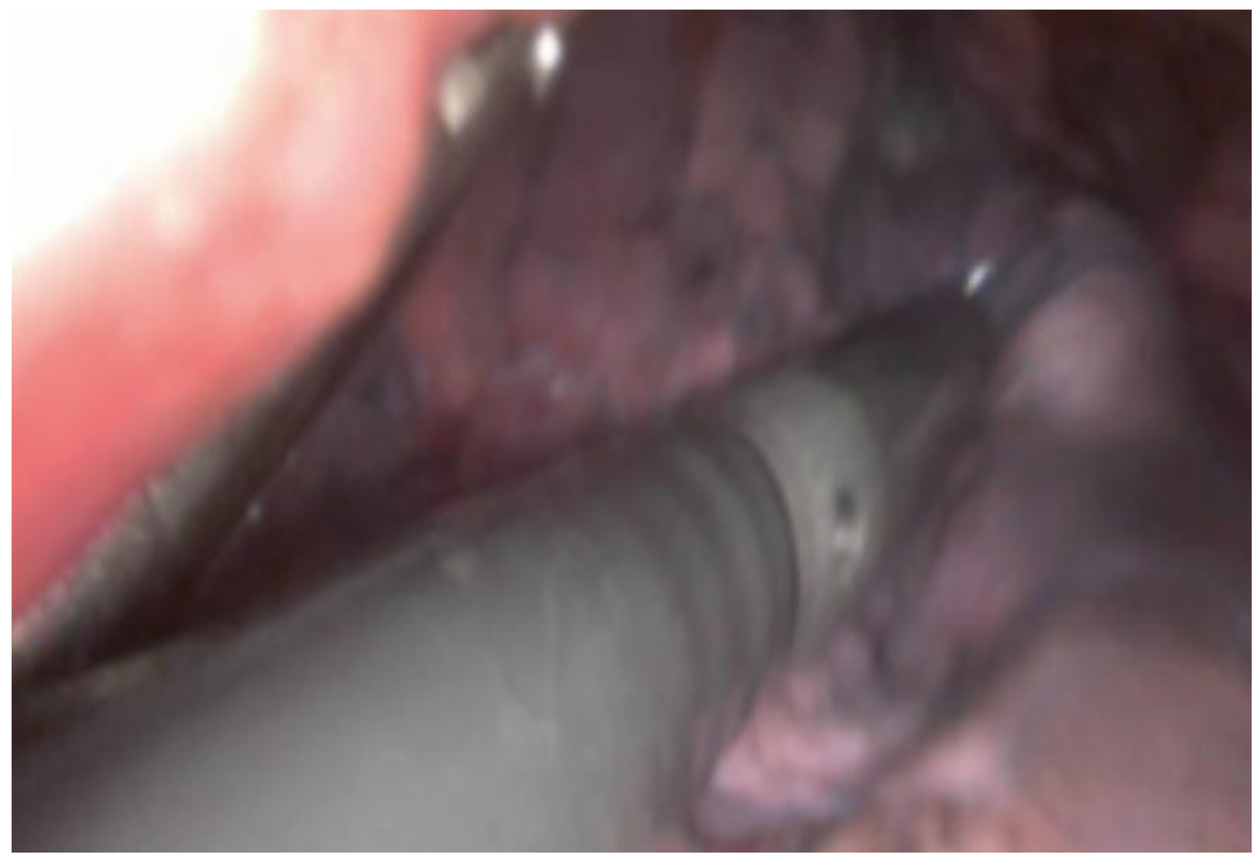 Diagnostics 15 01074 g002