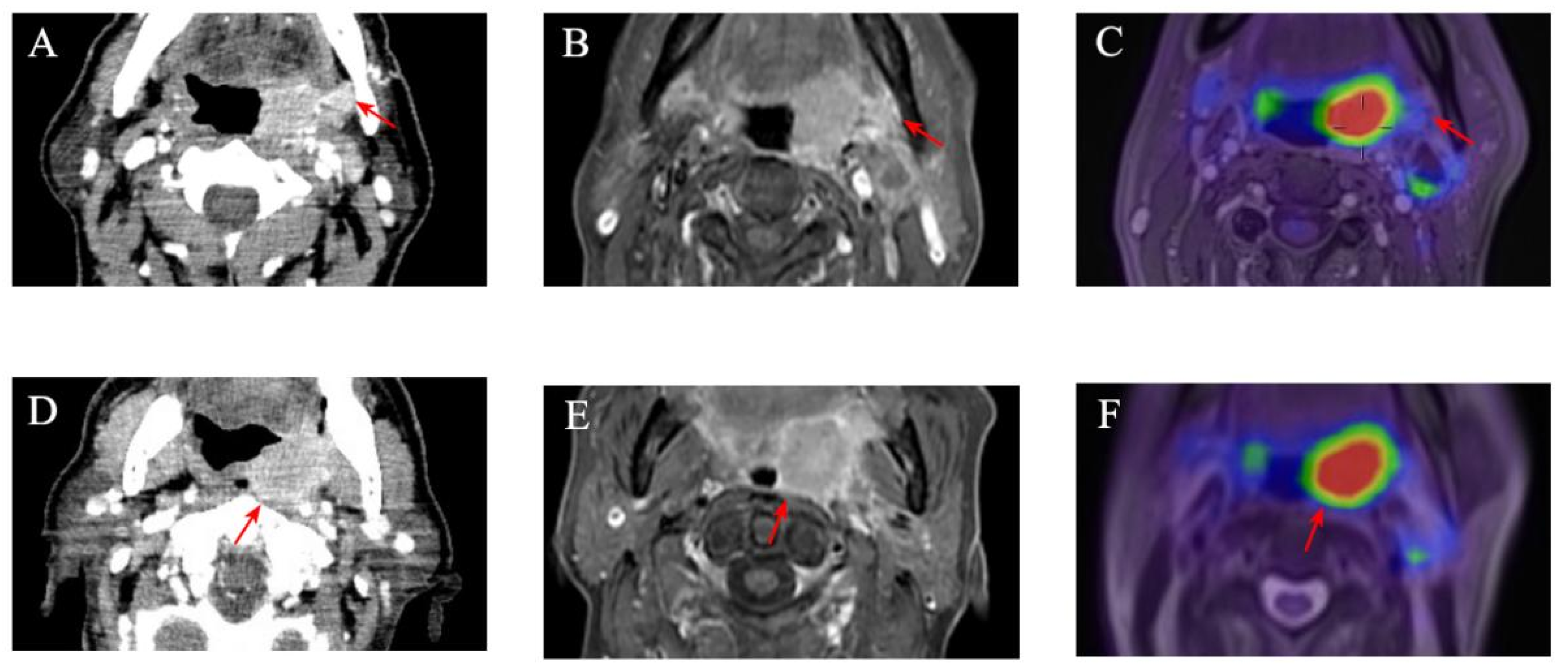 Diagnostics 15 01081 g001 Diagnostics 15 01081 g001