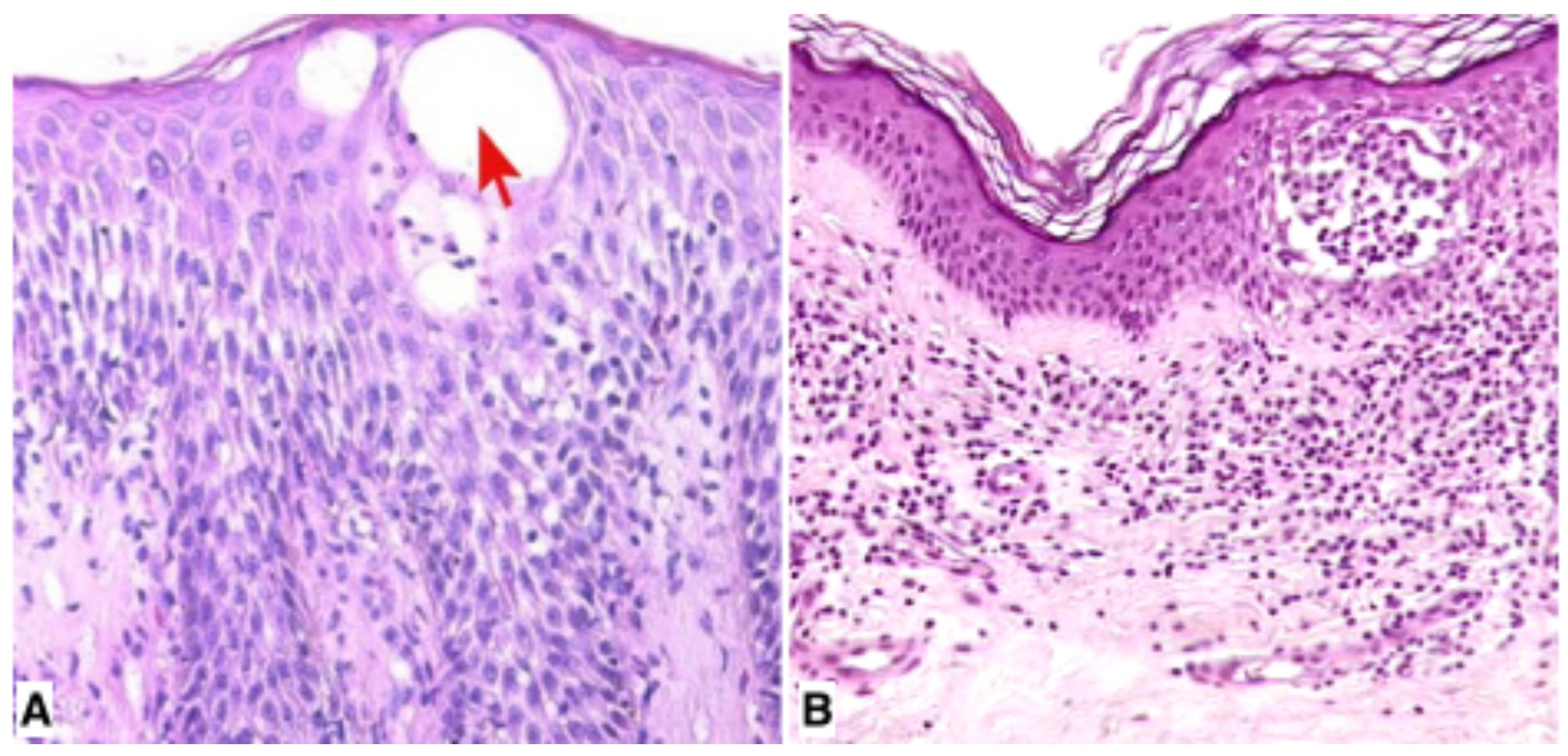 Diagnostics 15 01089 g002