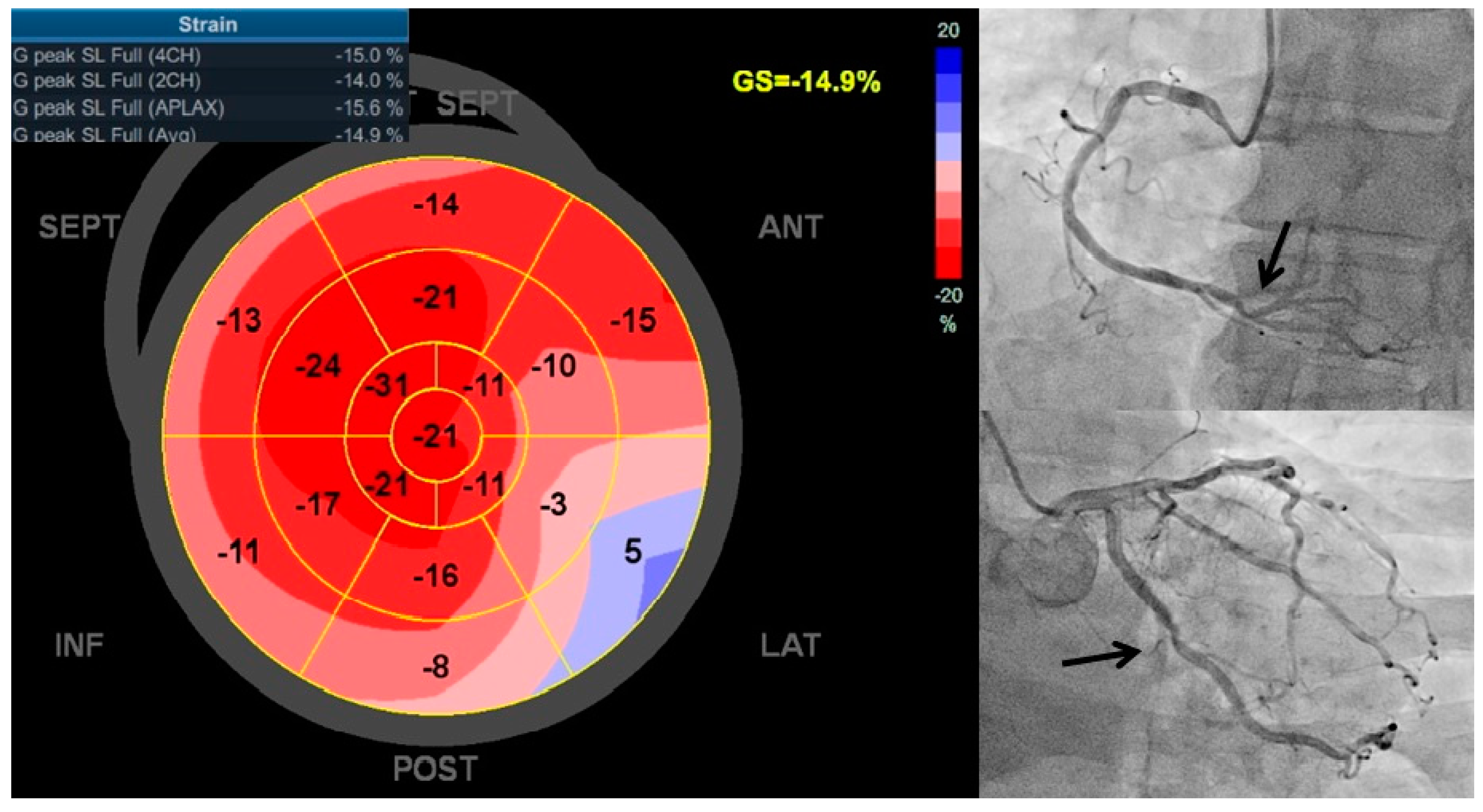 Diagnostics 15 01102 g001