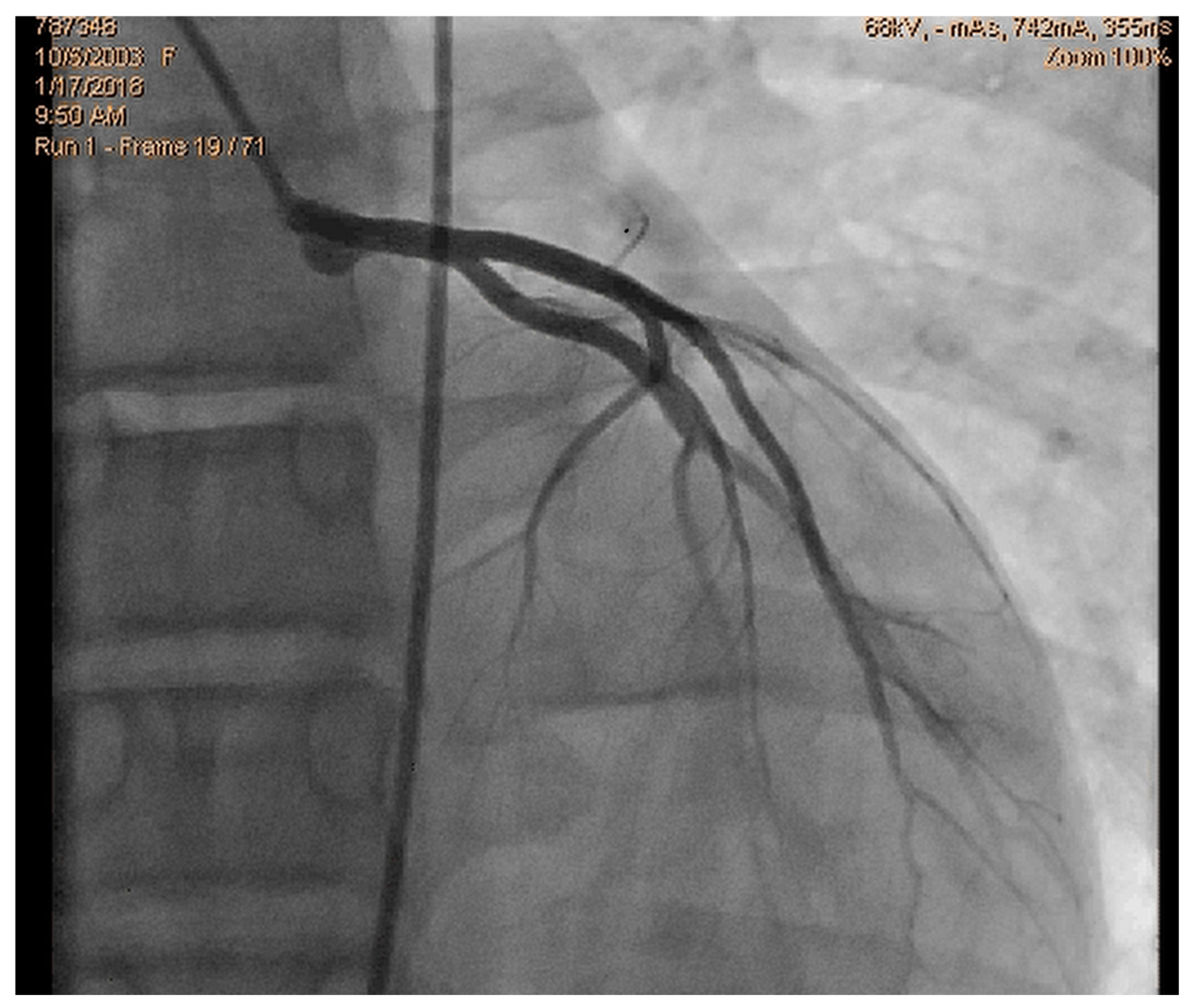 Diagnostics 15 01106 g001