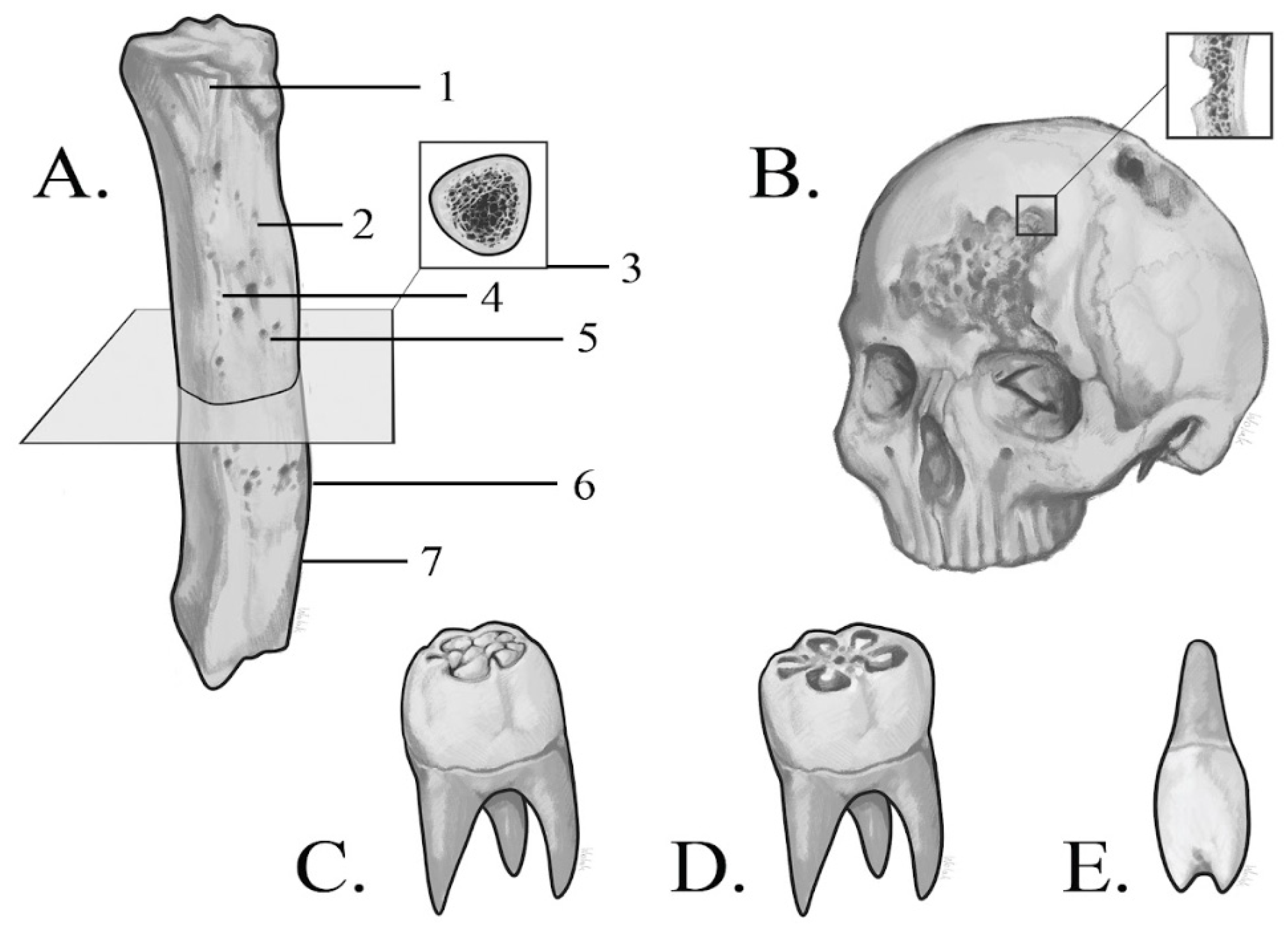 Diagnostics 15 01116 g002 Diagnostics 15 01116 g002