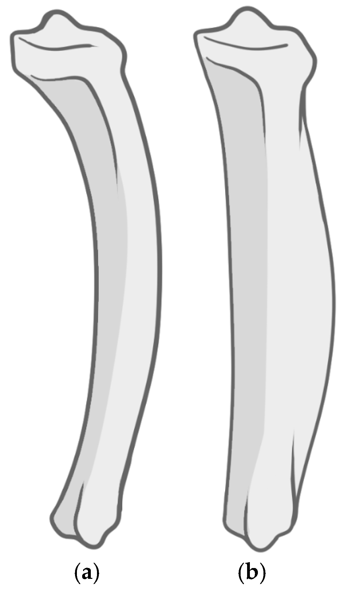 Diagnostics 15 01116 g003 Diagnostics 15 01116 g003