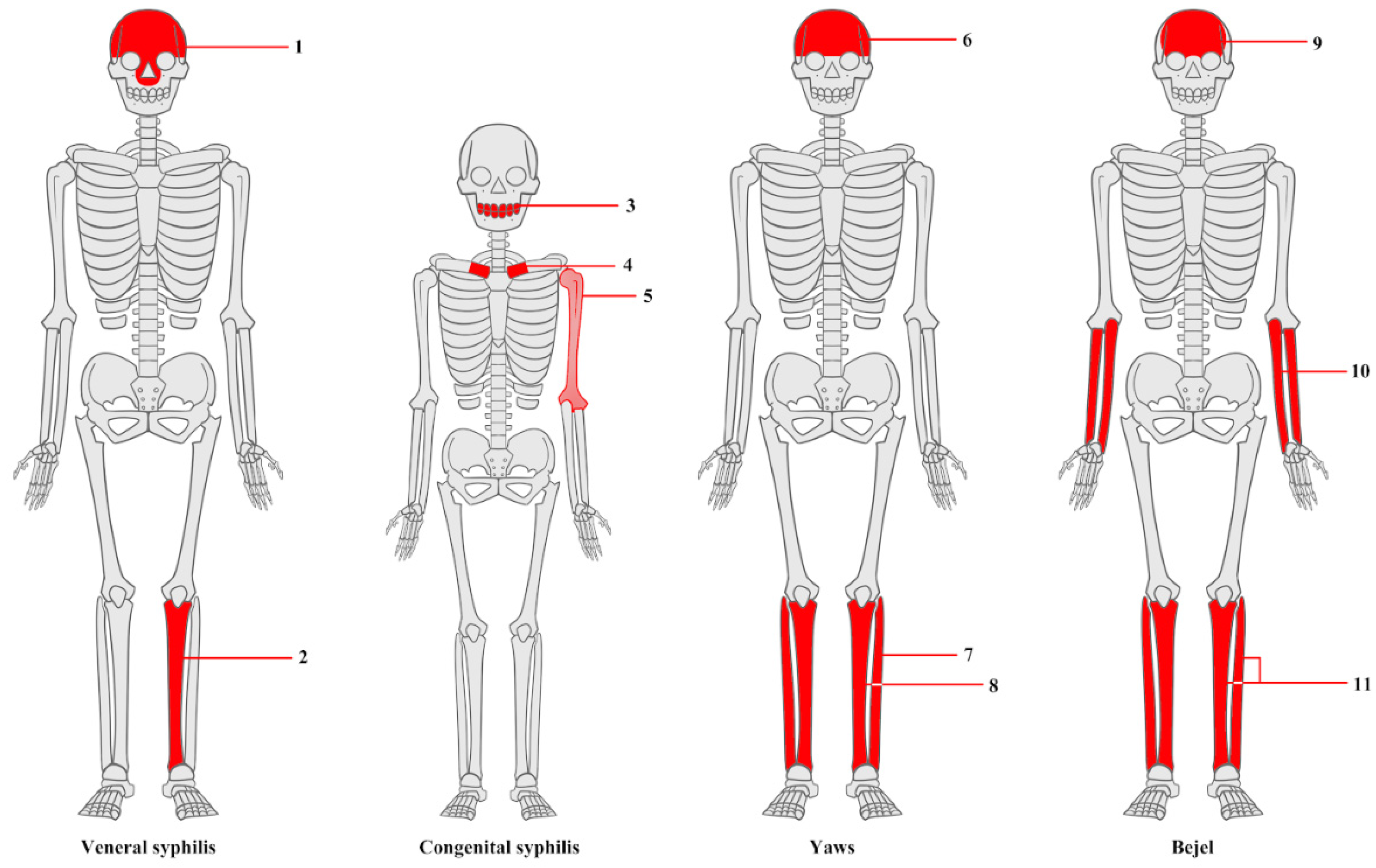 Diagnostics 15 01116 g004 Diagnostics 15 01116 g004