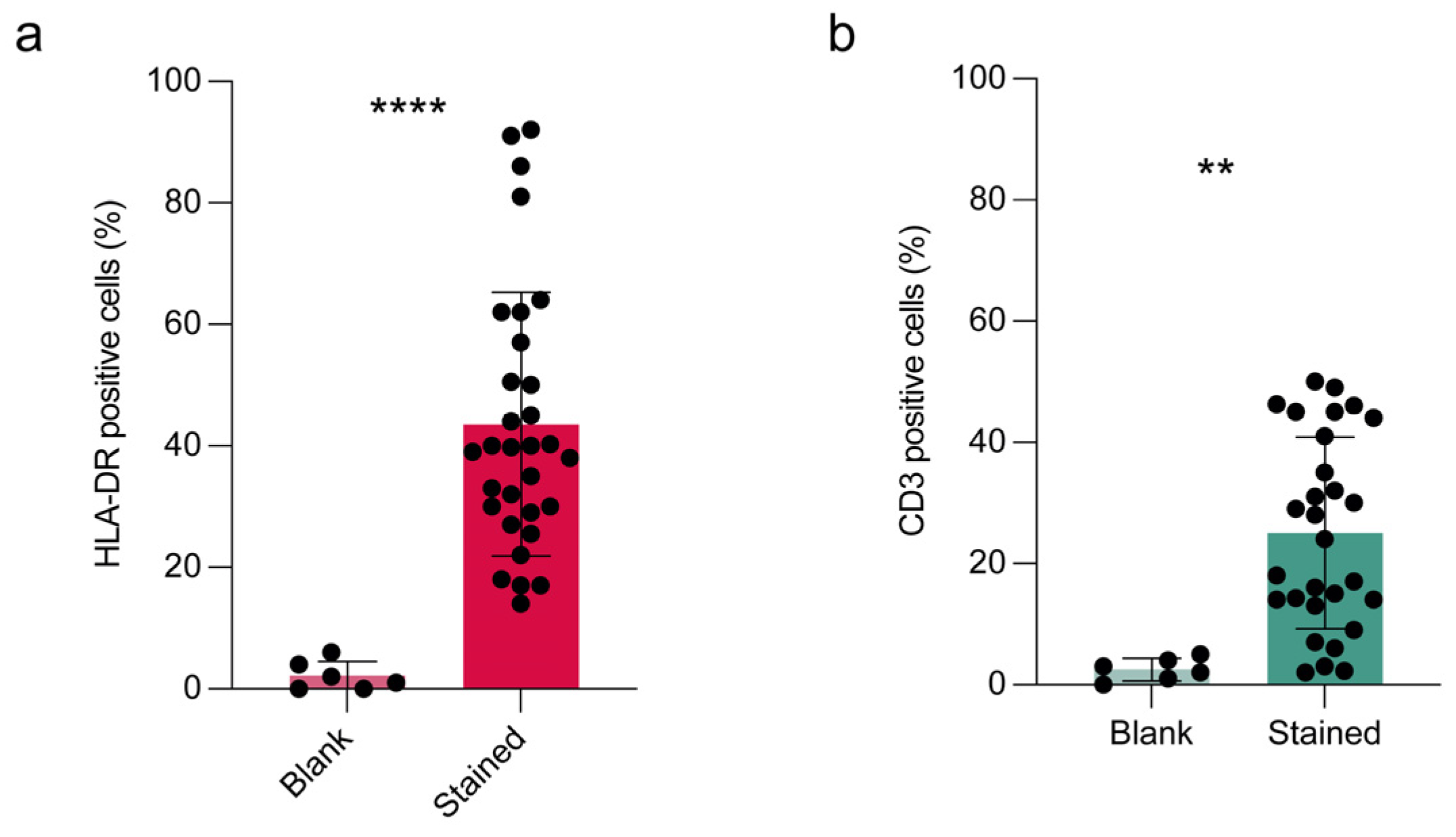 Diagnostics 15 01124 g002