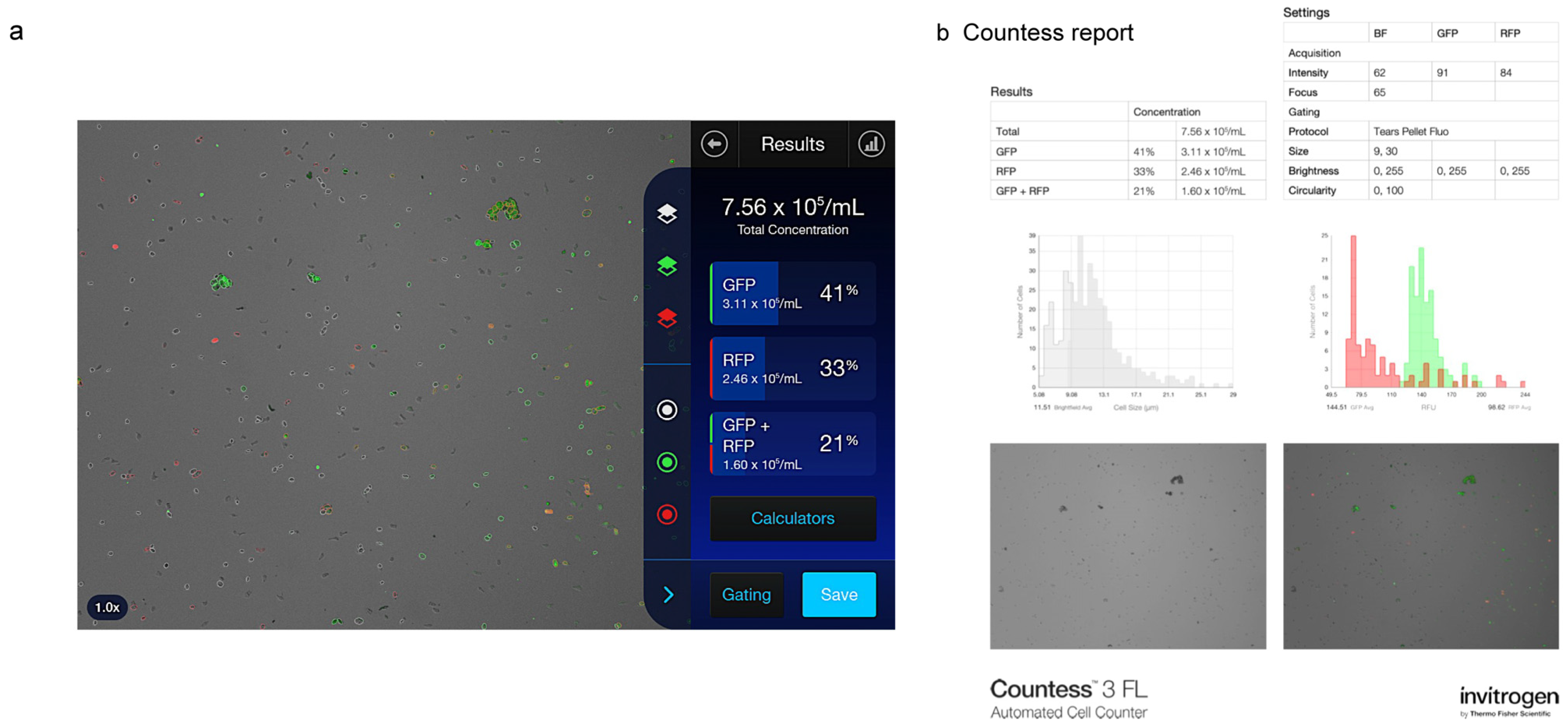 Diagnostics 15 01124 g003
