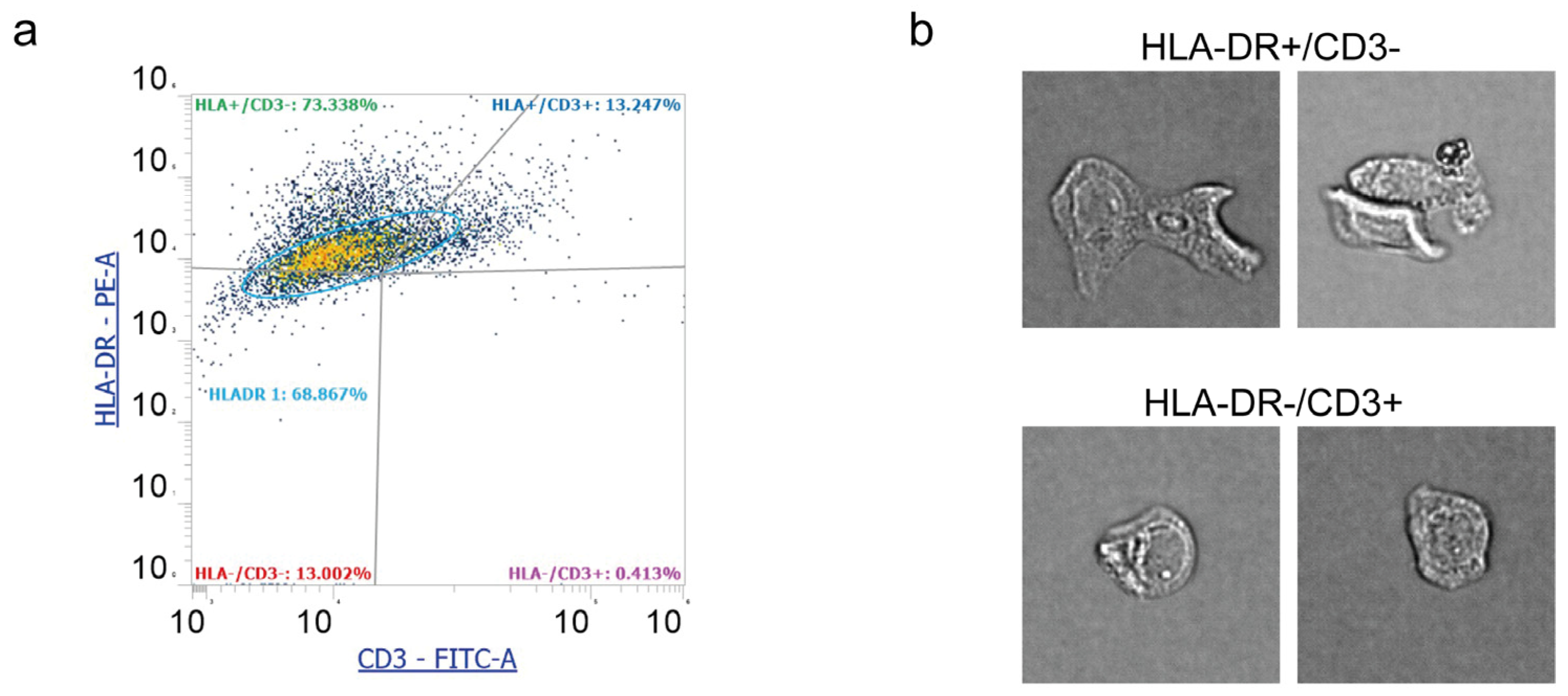 Diagnostics 15 01124 g005
