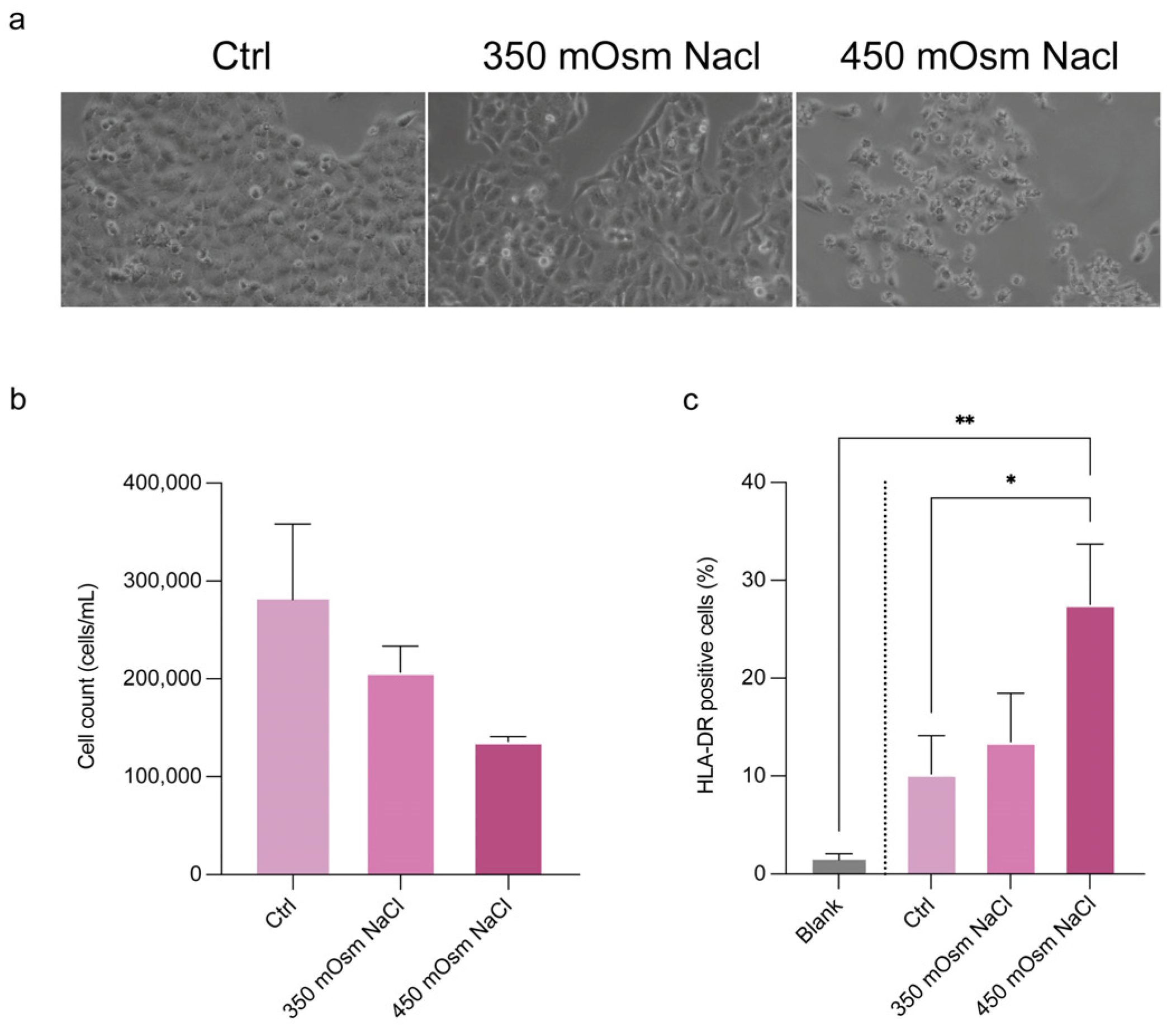 Diagnostics 15 01124 g006