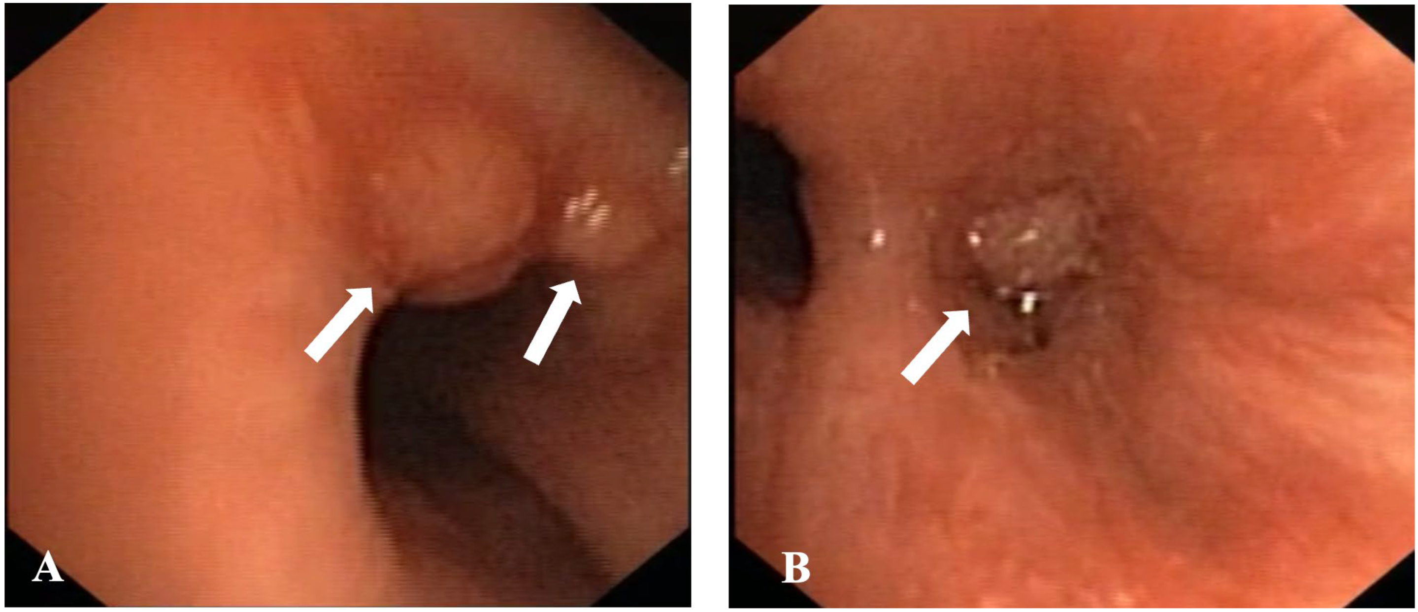 Diagnostics 15 01128 g003 Diagnostics 15 01128 g003