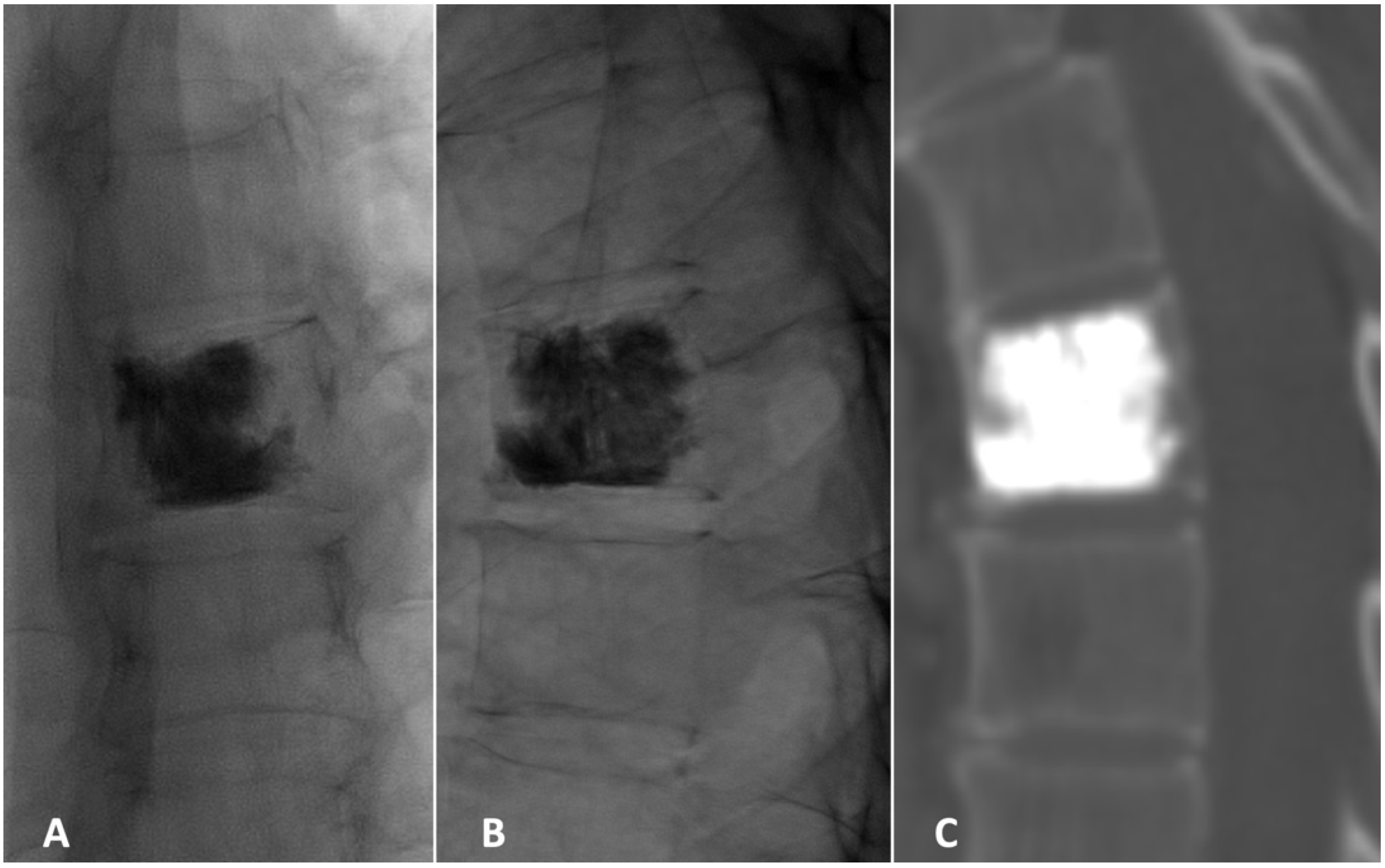 Diagnostics 15 01128 g005 Diagnostics 15 01128 g005
