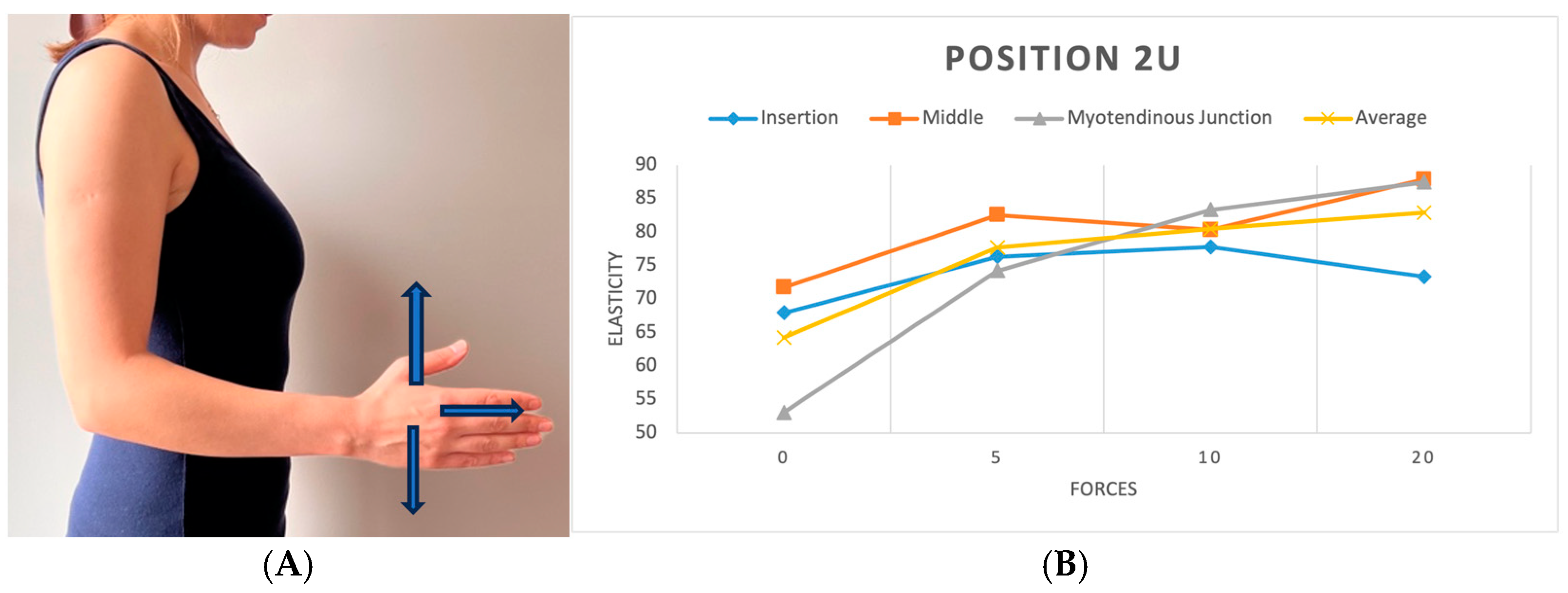Diagnostics 15 01132 g004