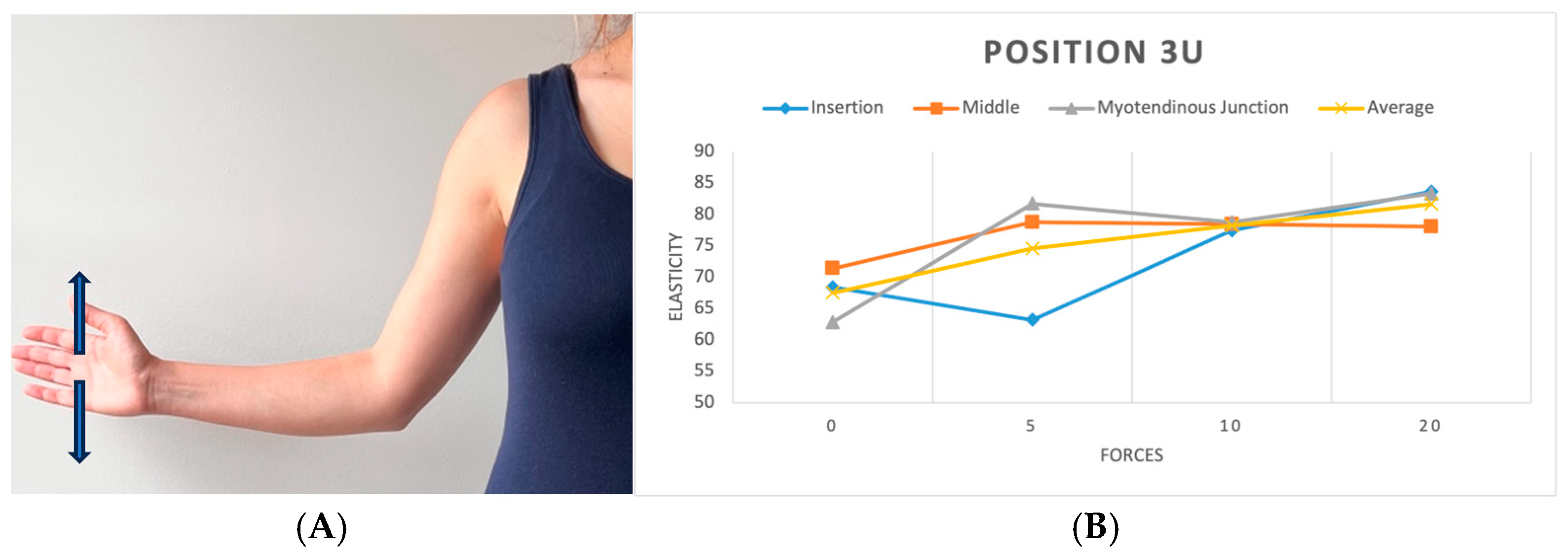 Diagnostics 15 01132 g005