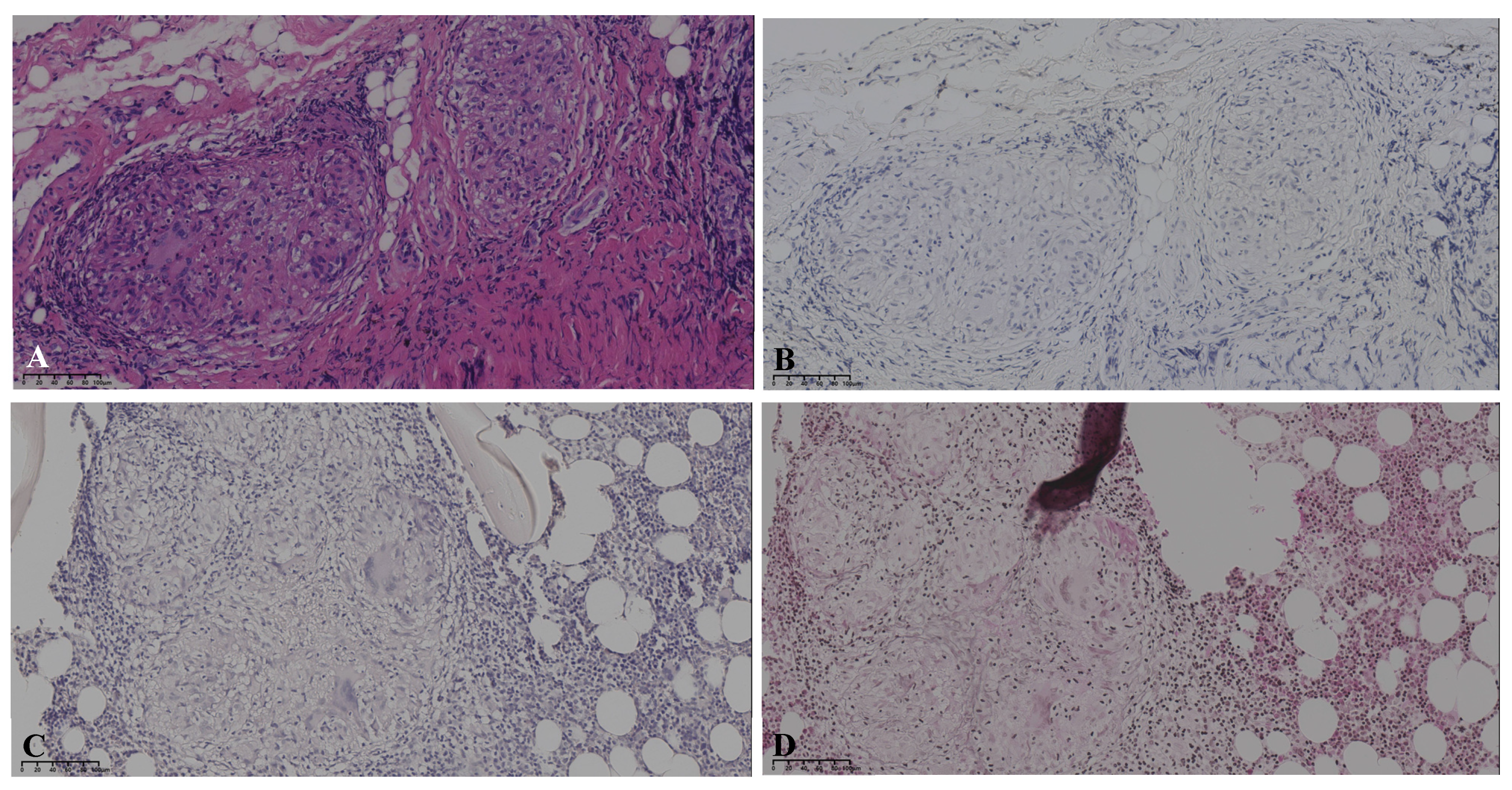 Diagnostics 15 01135 g003
