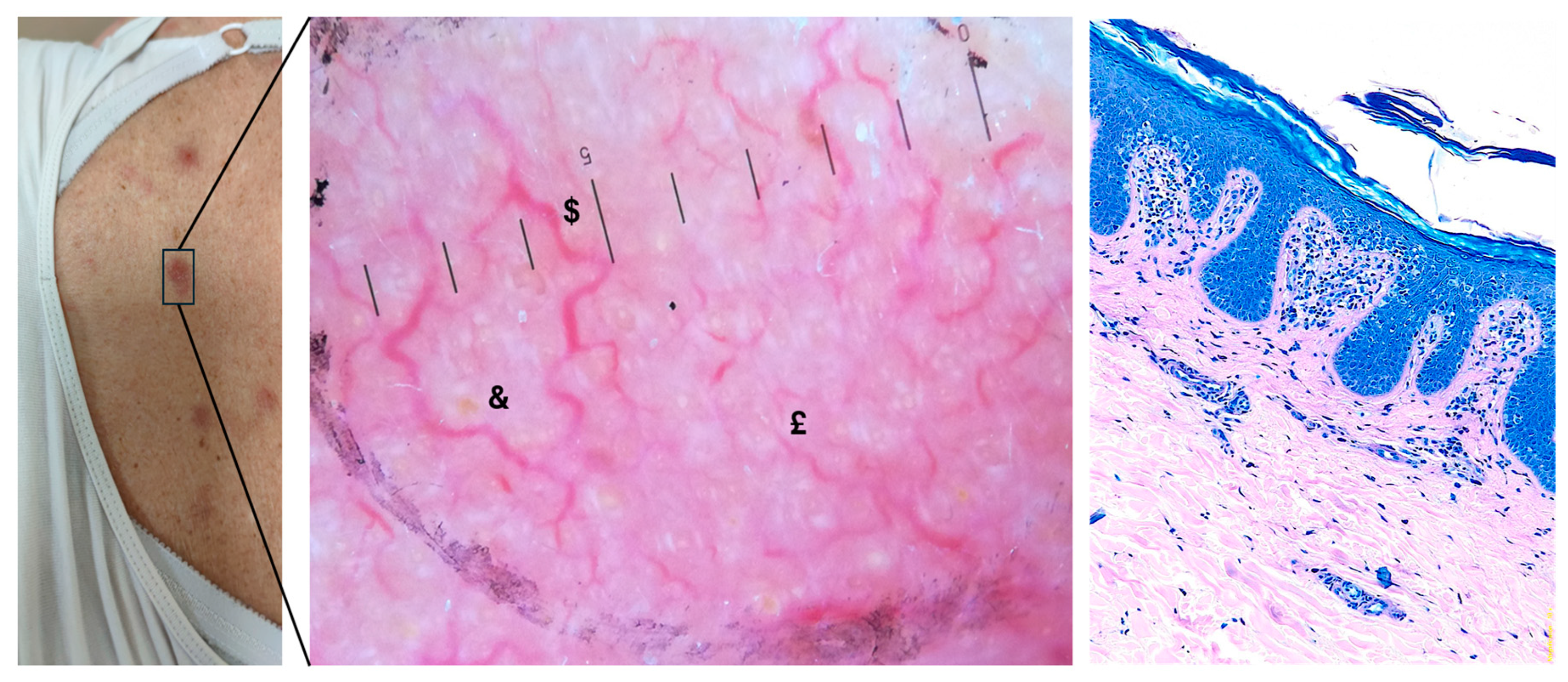 Diagnostics 15 01136 g001