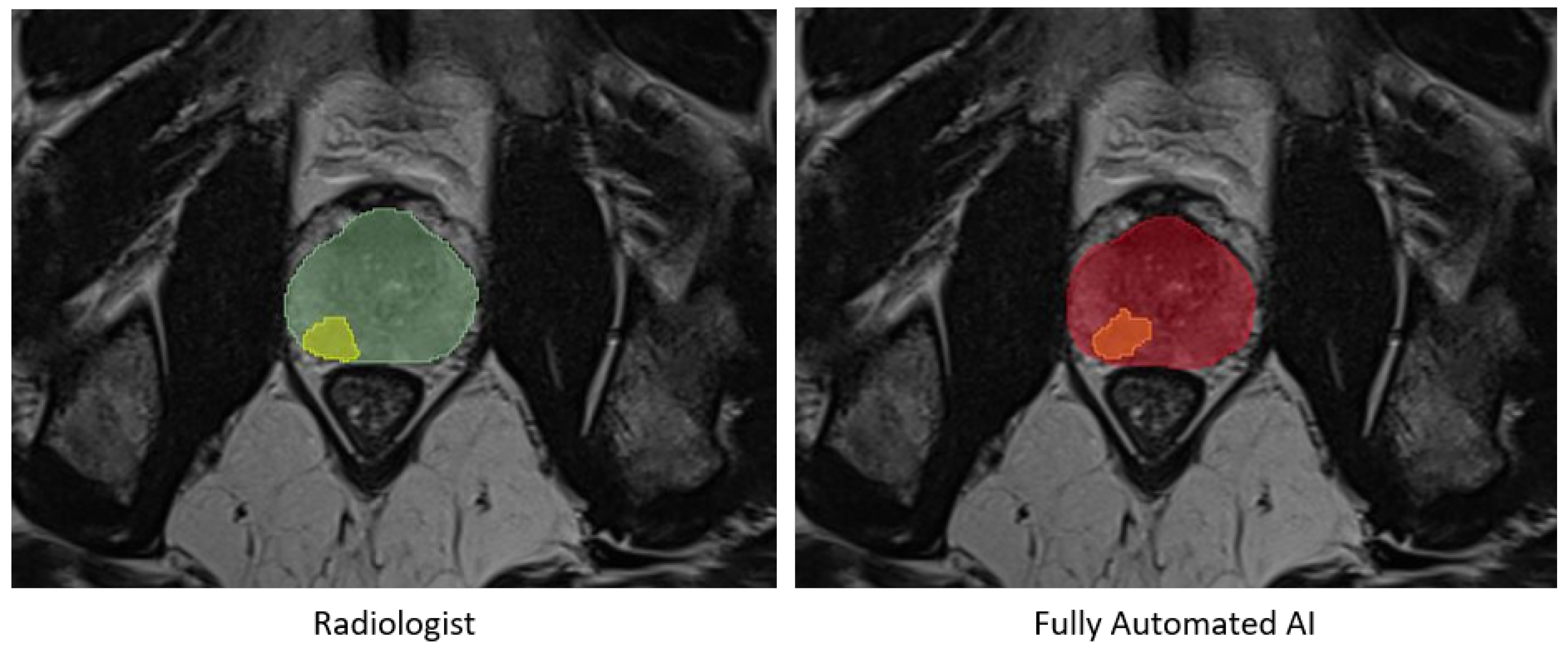 Diagnostics 15 01141 g004