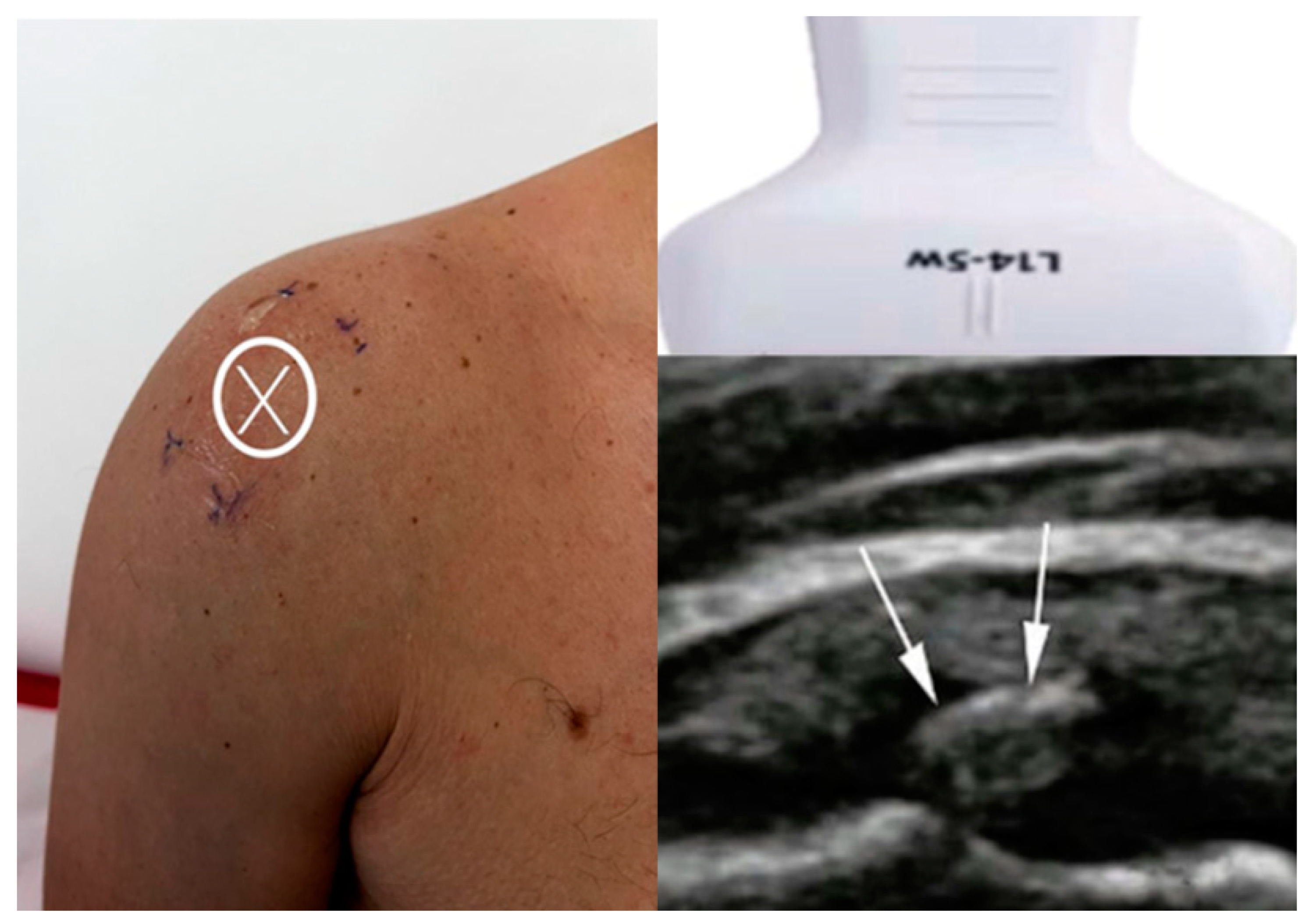 Diagnostics 15 01142 g002