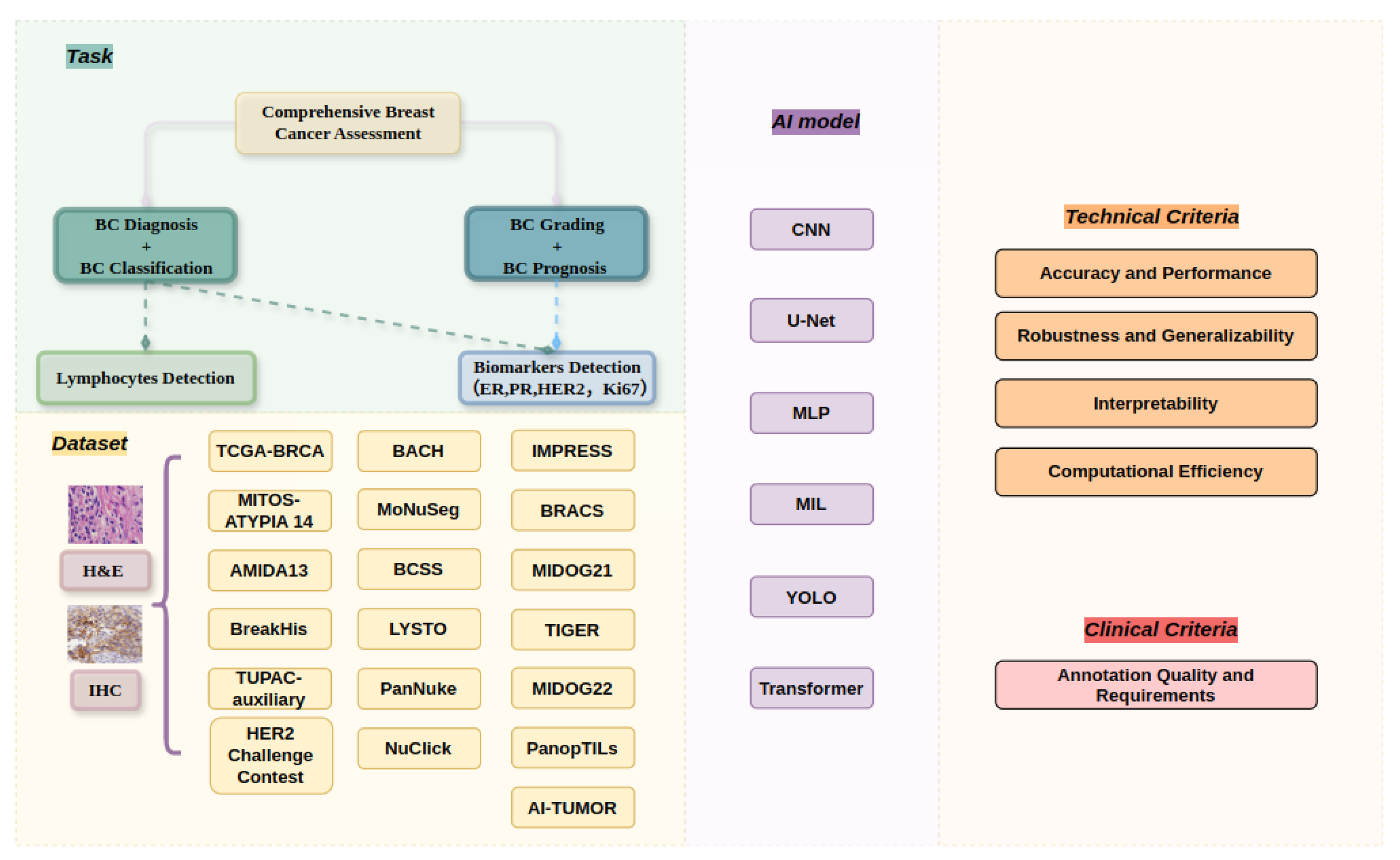 Diagnostics 15 01150 g001