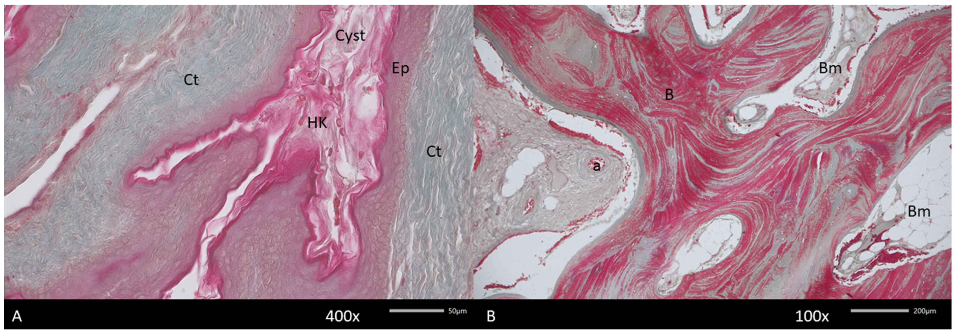 Diagnostics 15 01158 g006