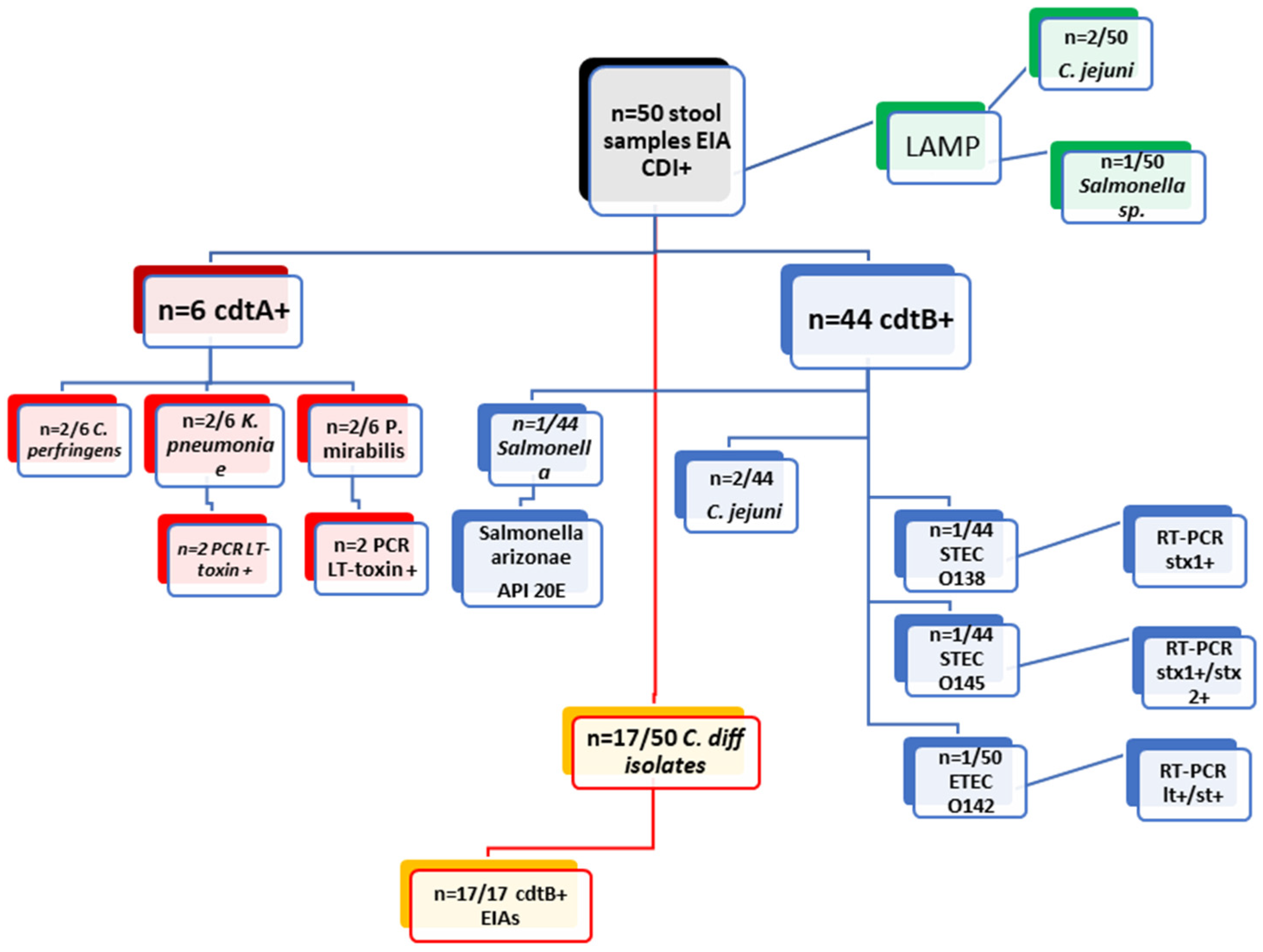 Diagnostics 15 01166 g001