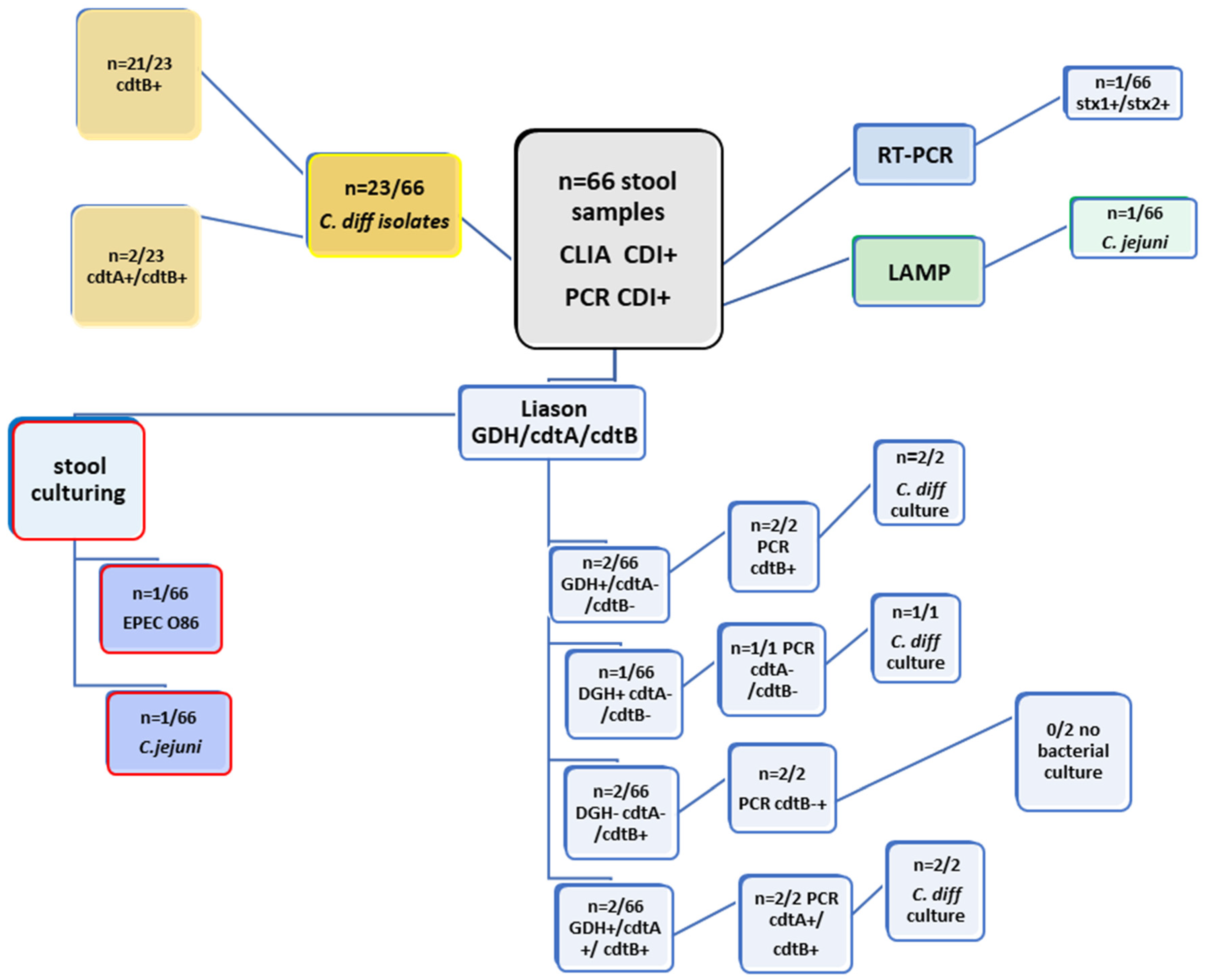 Diagnostics 15 01166 g002