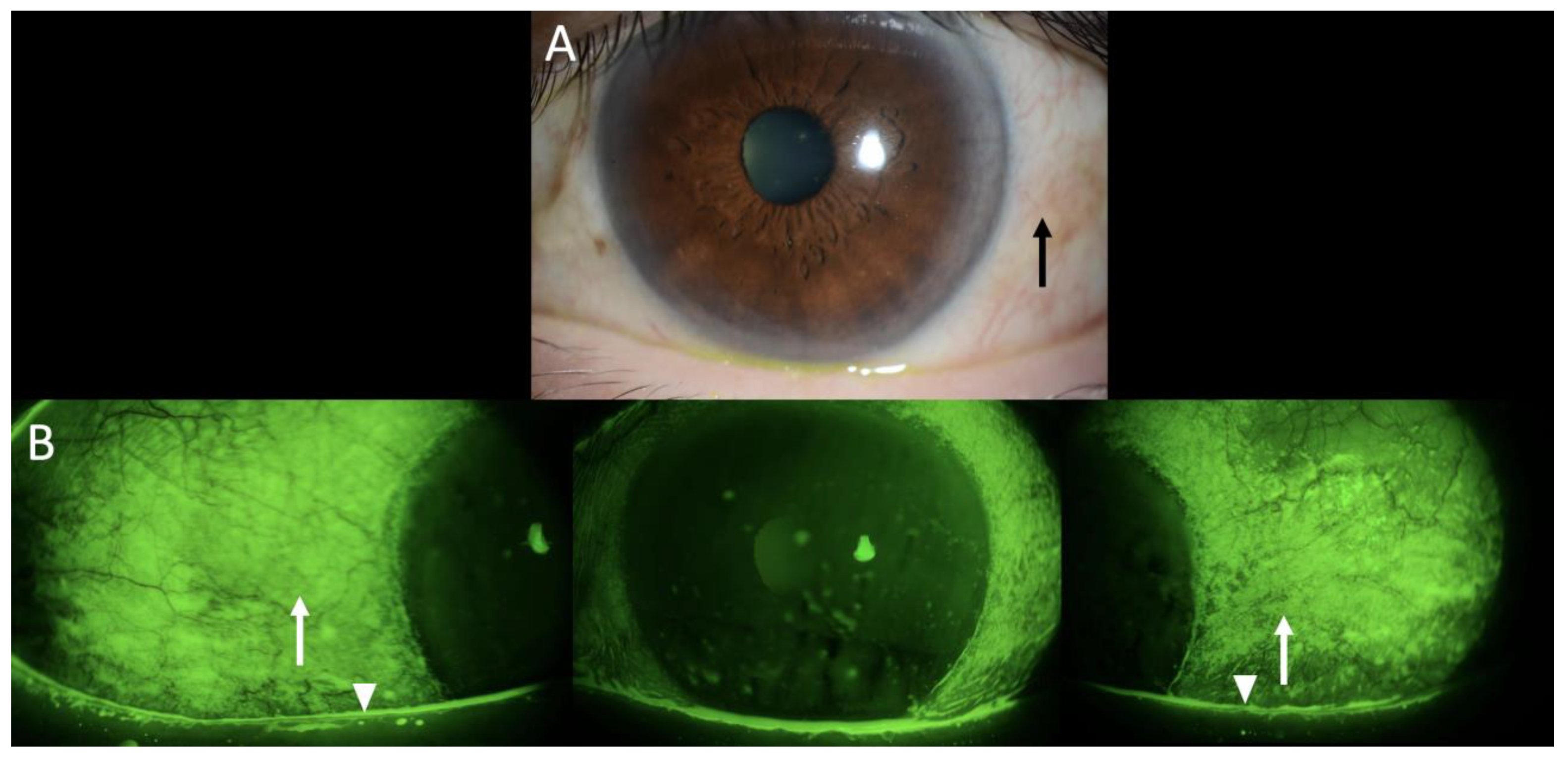 Diagnostics 15 01168 g001