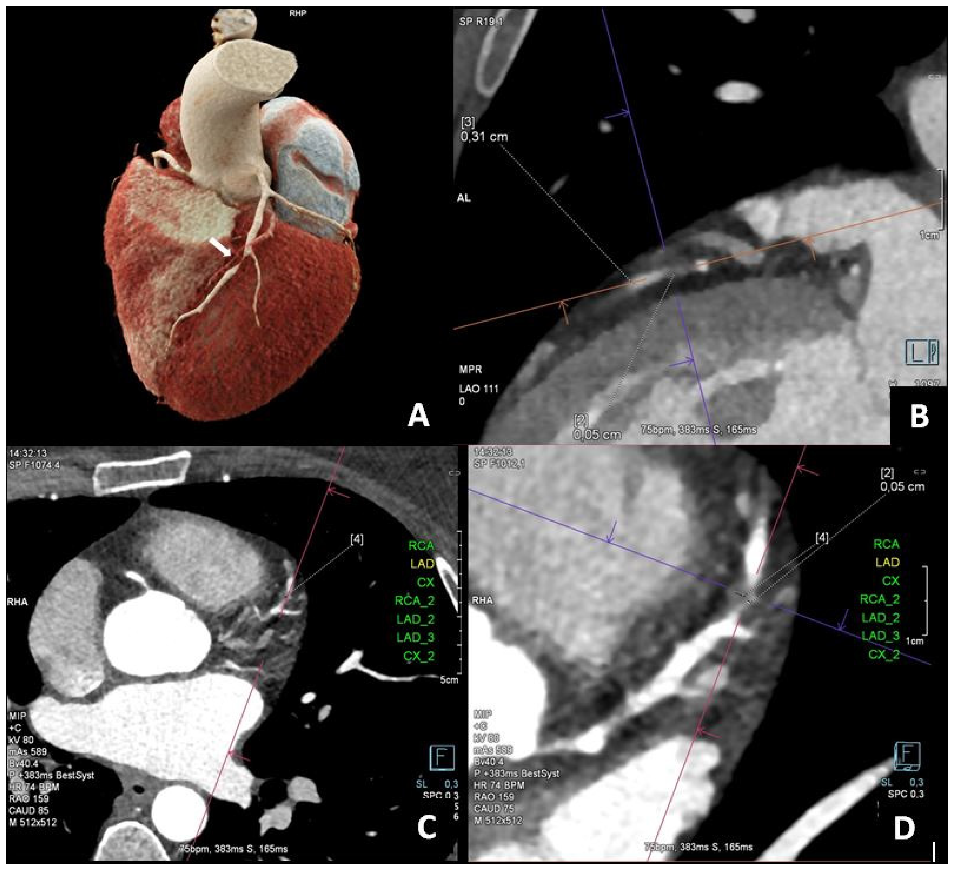 Diagnostics 15 01169 g001