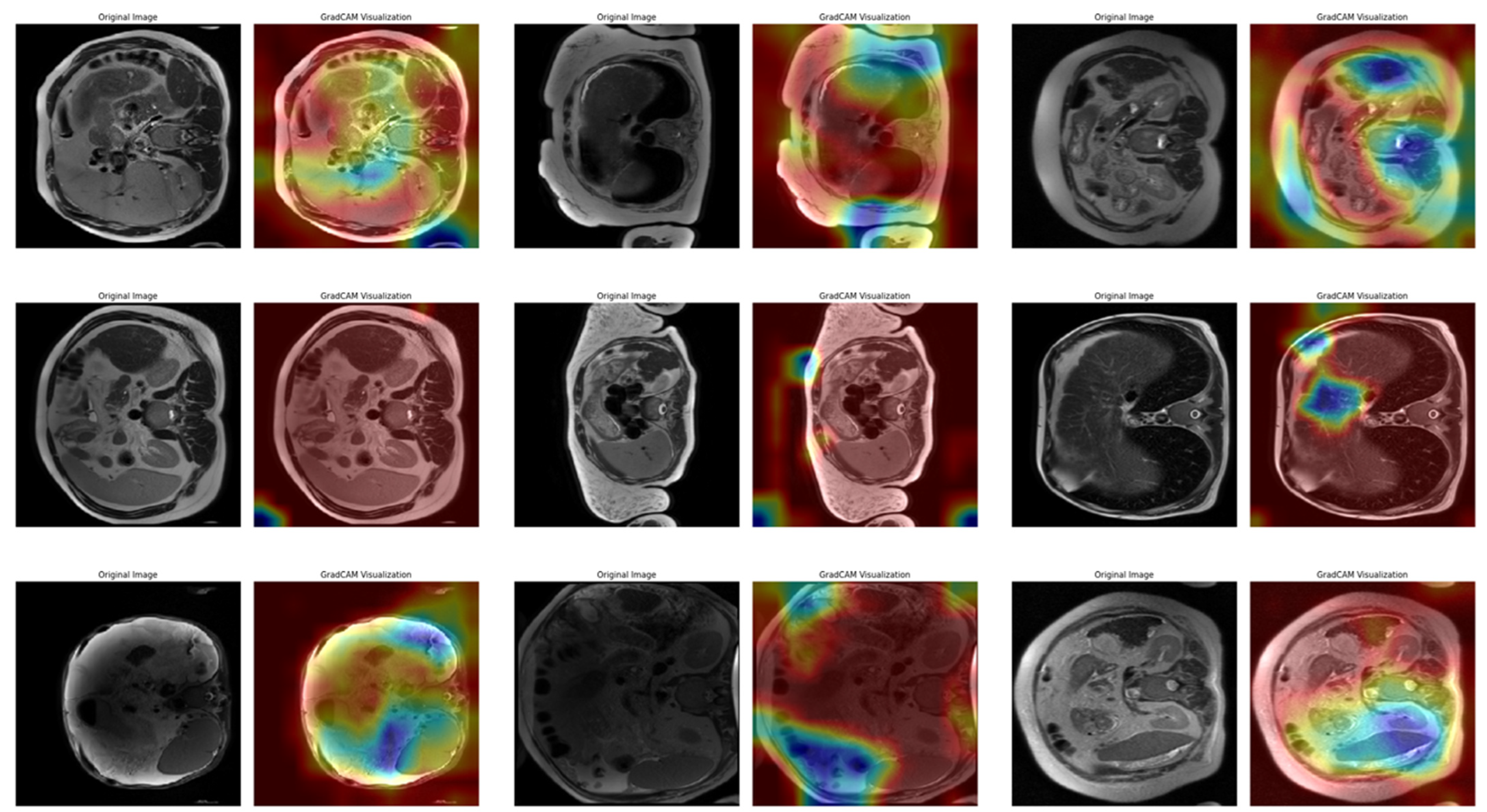 Diagnostics 15 01177 g013
