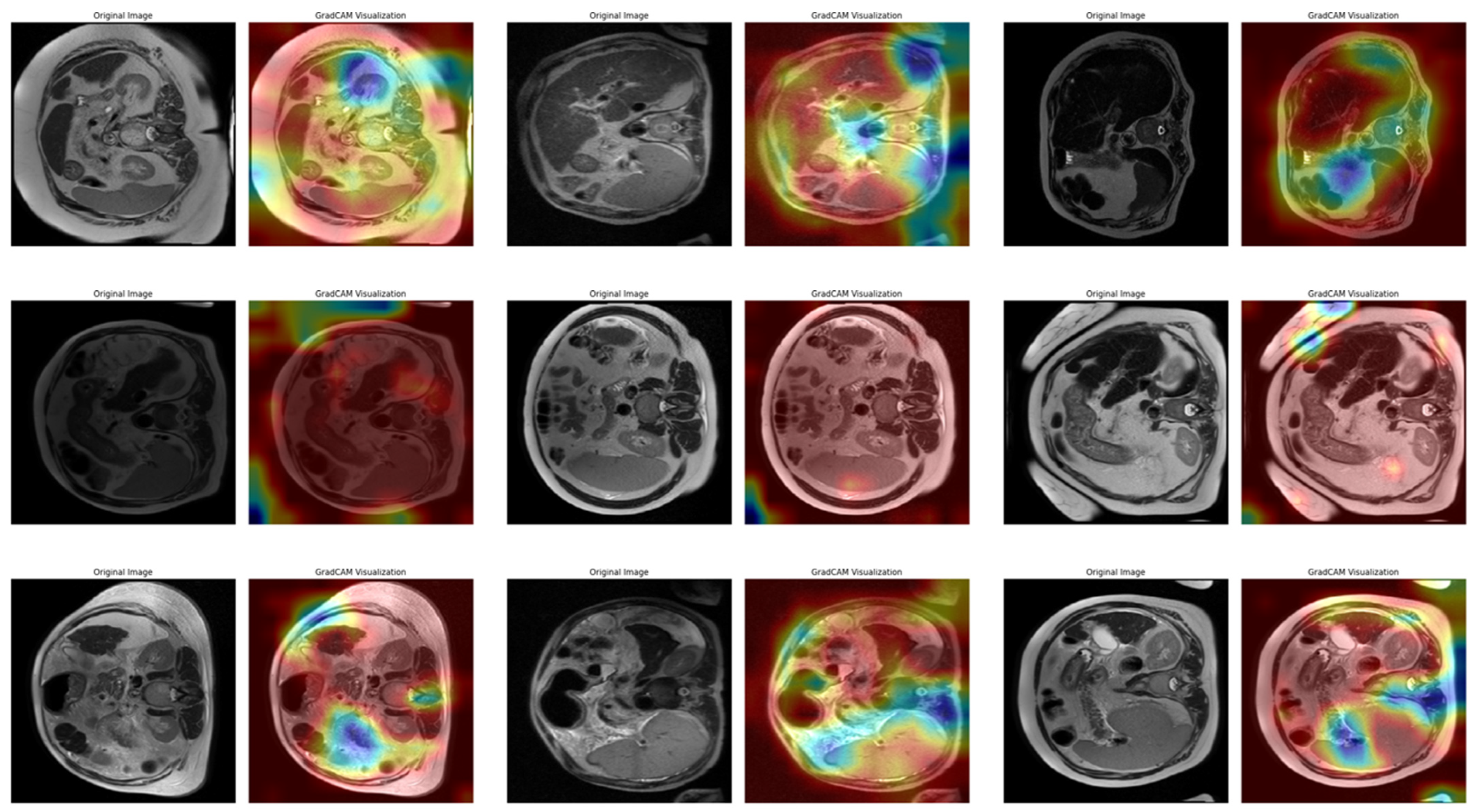 Diagnostics 15 01177 g014