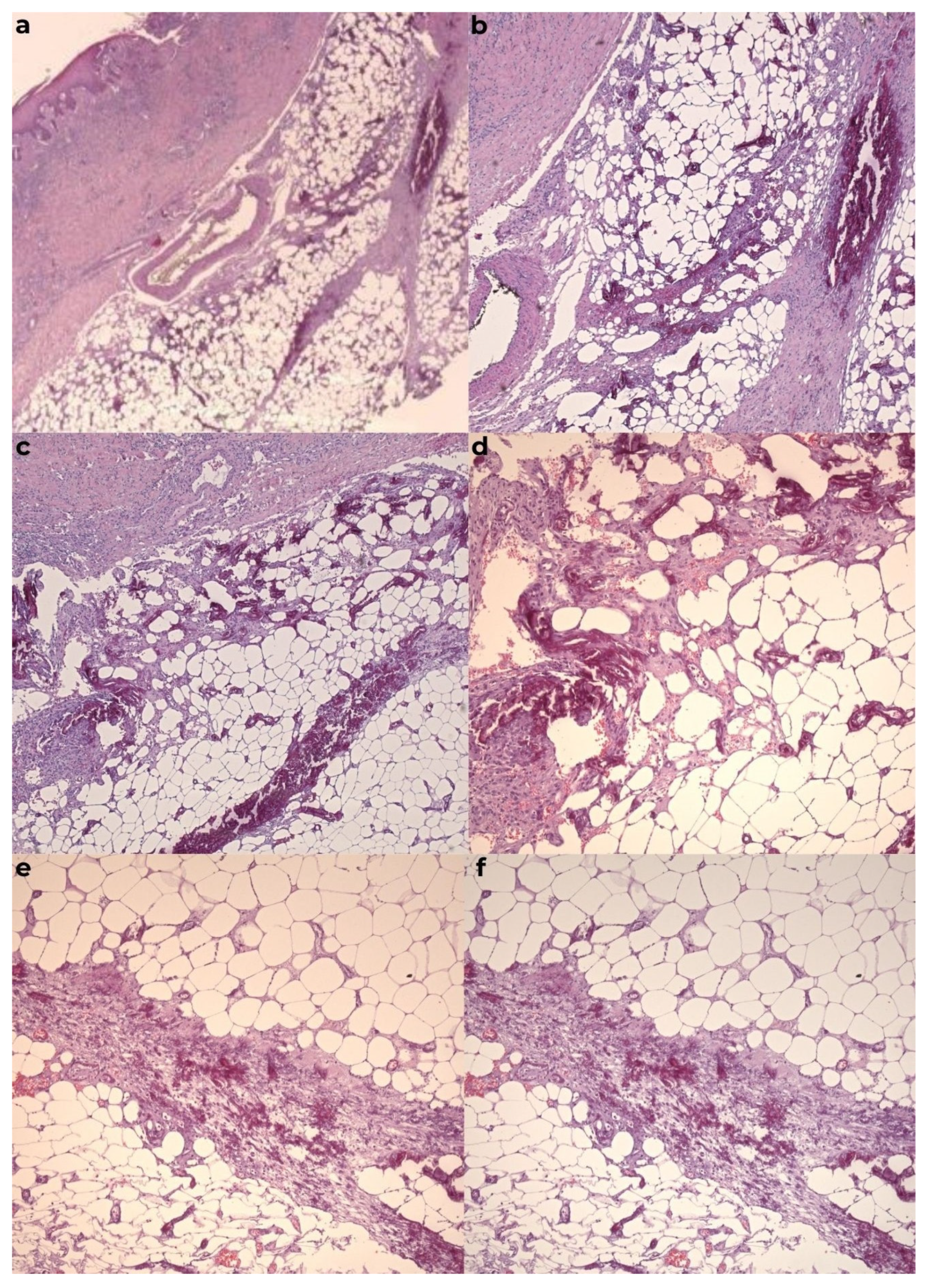 Diagnostics 15 01179 g007