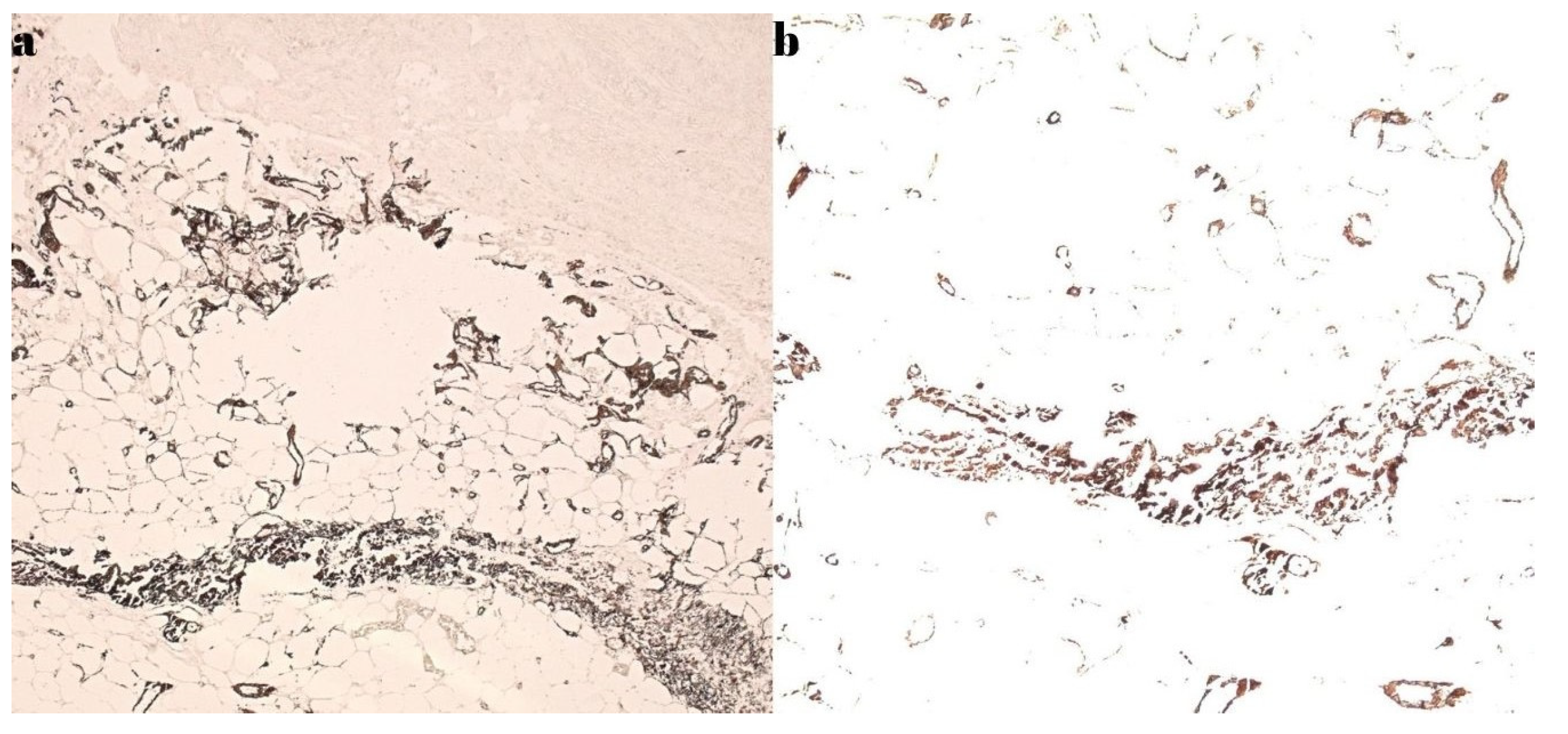 Diagnostics 15 01179 g008