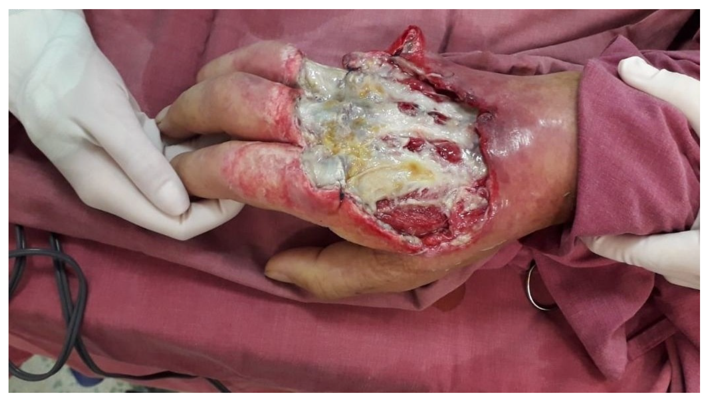 Diagnostics 15 01179 g011