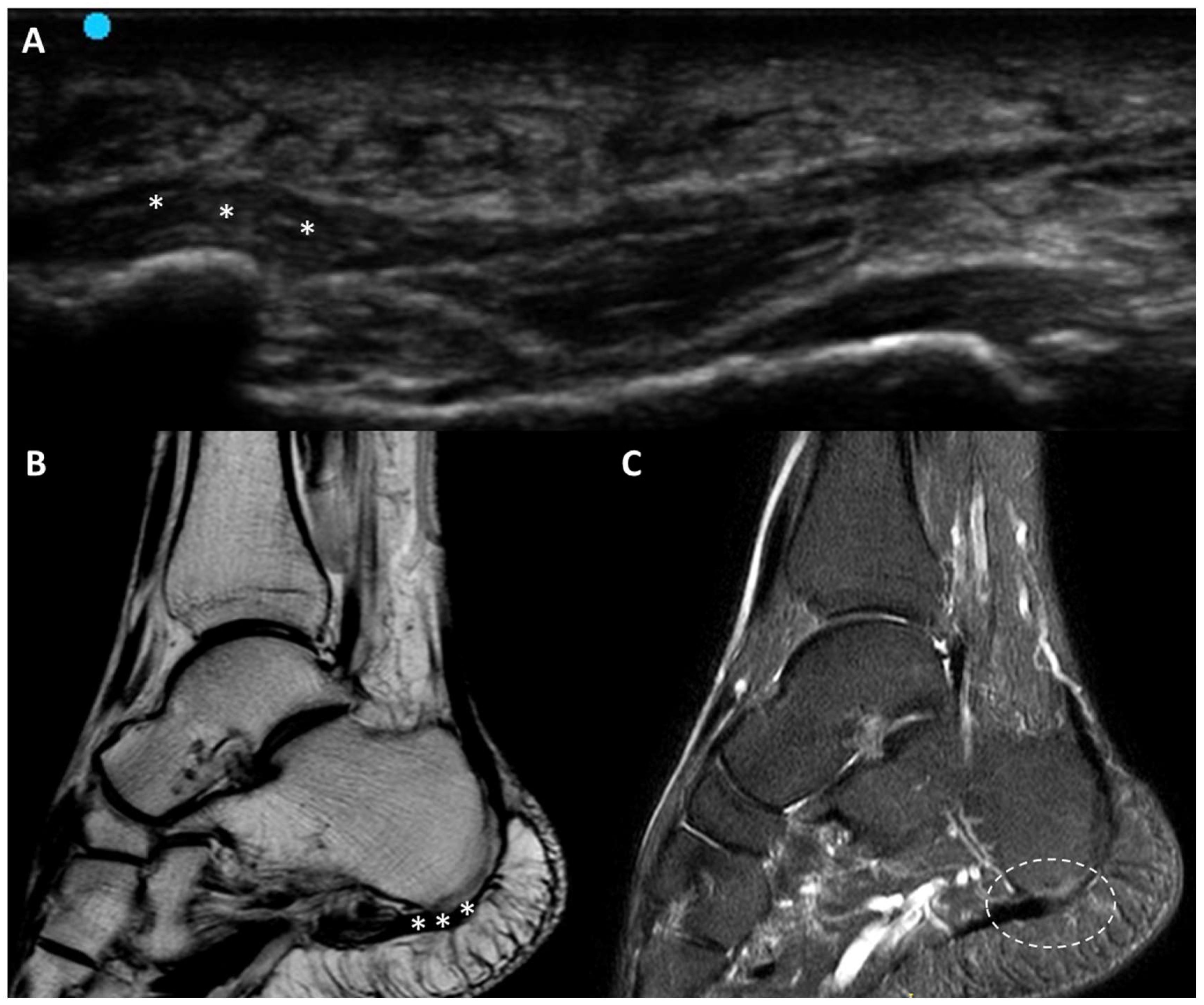 Diagnostics 15 01180 g005