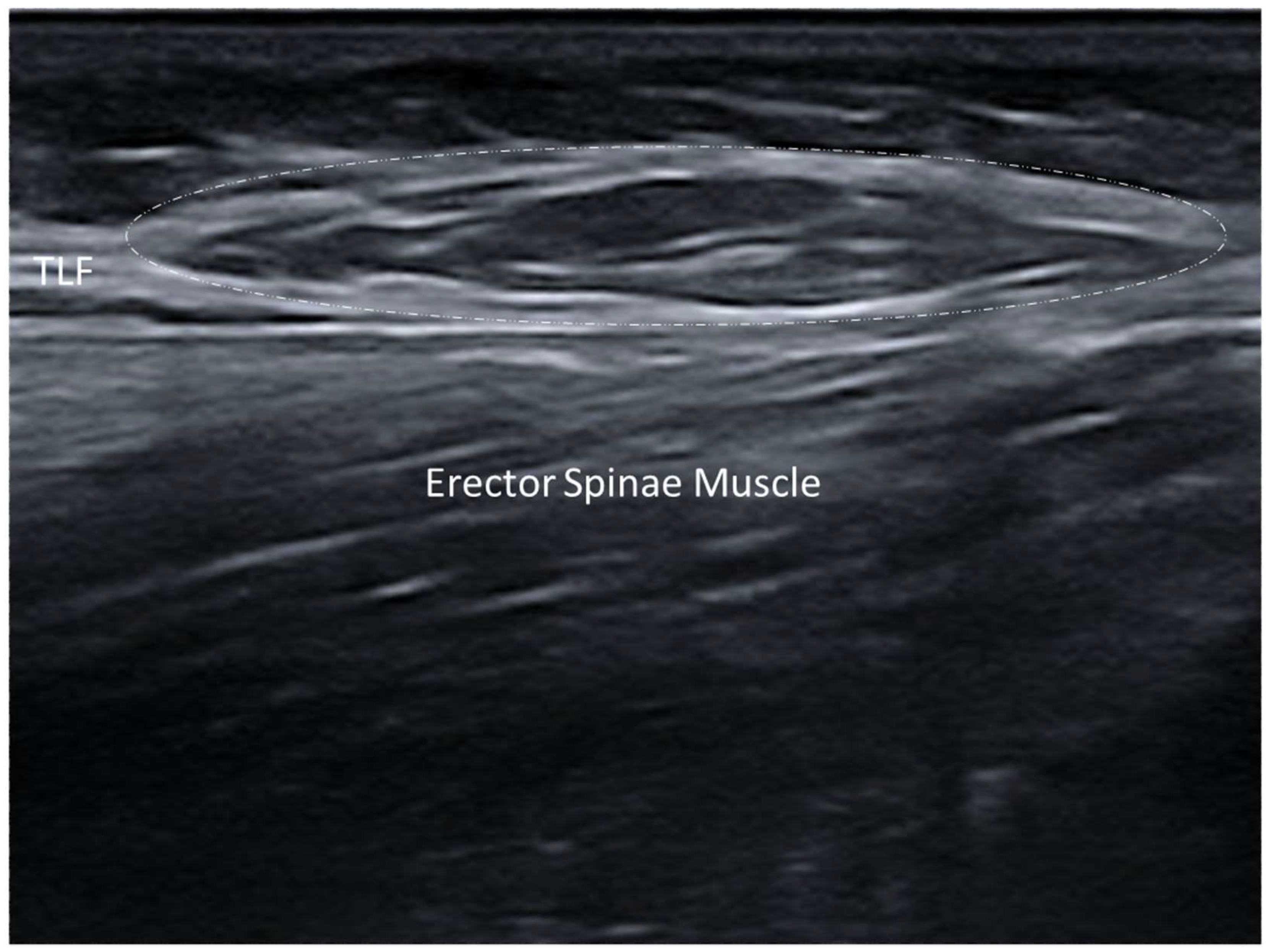Diagnostics 15 01180 g006