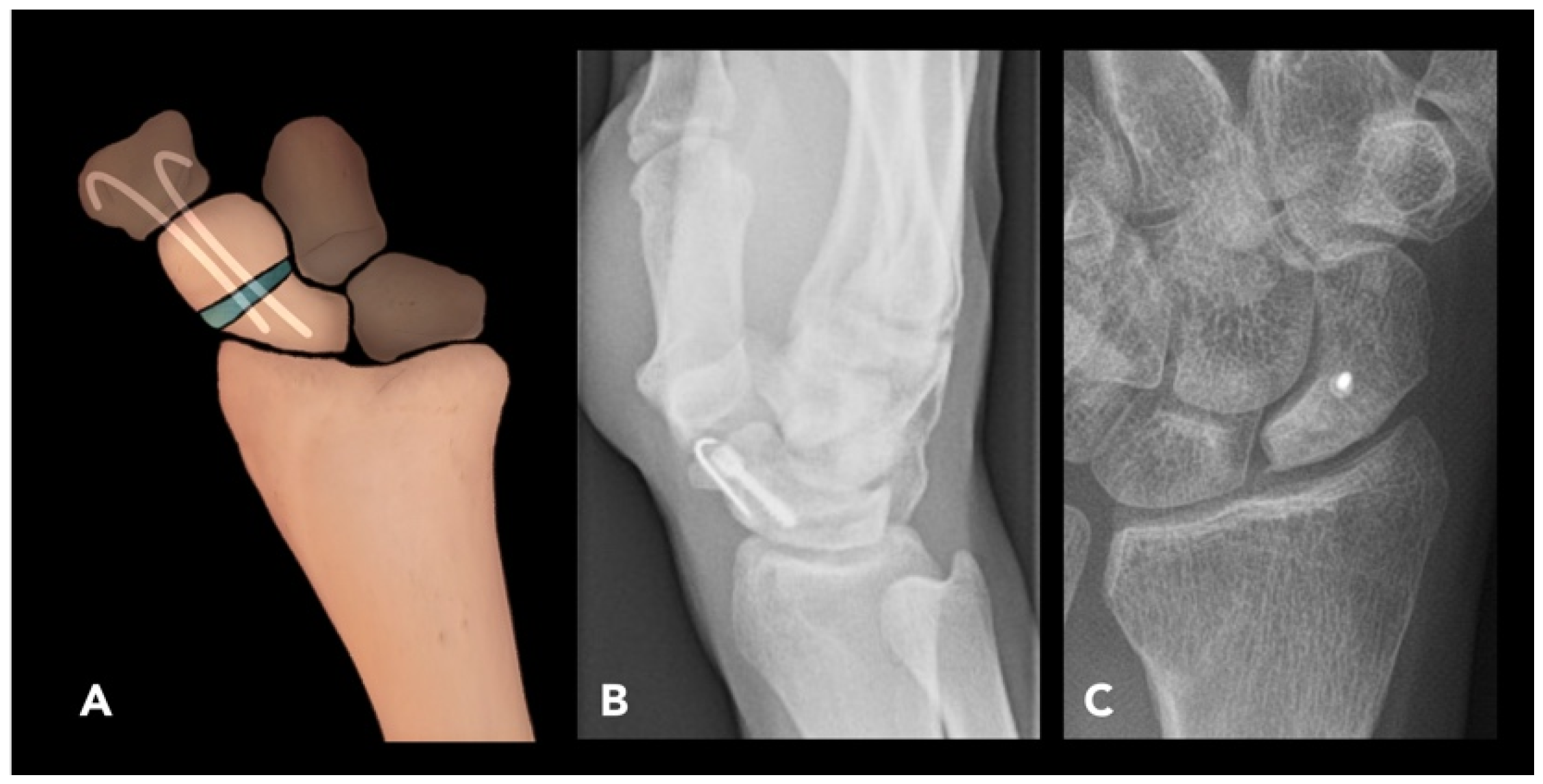 Diagnostics 15 01184 g010