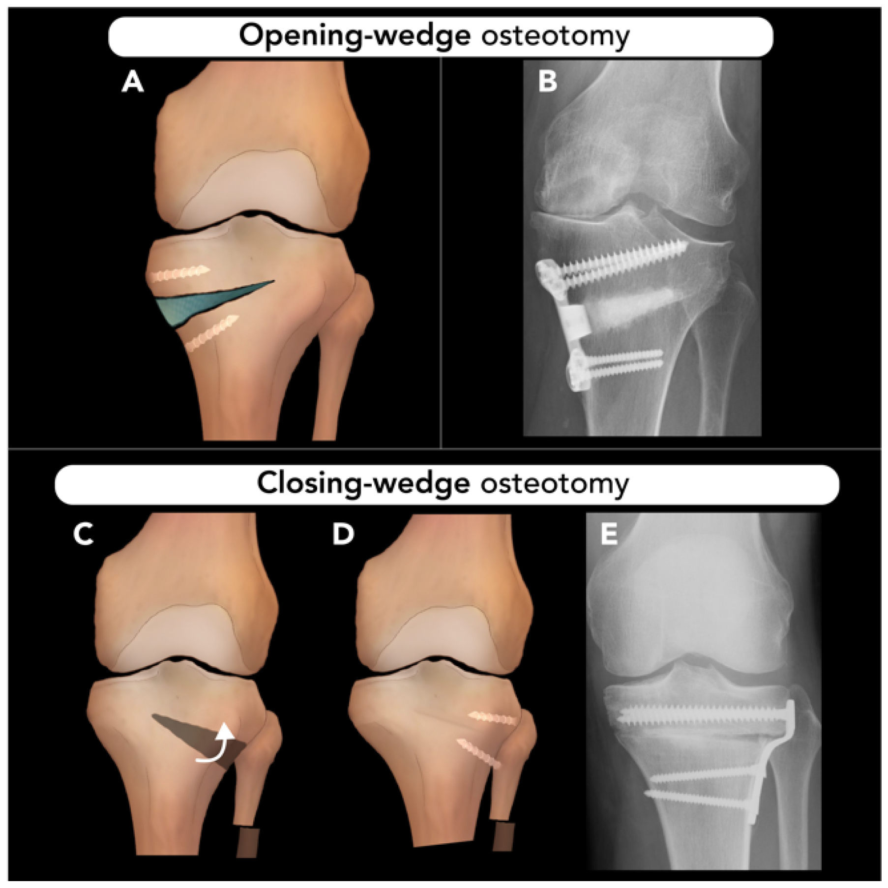 Diagnostics 15 01184 g011