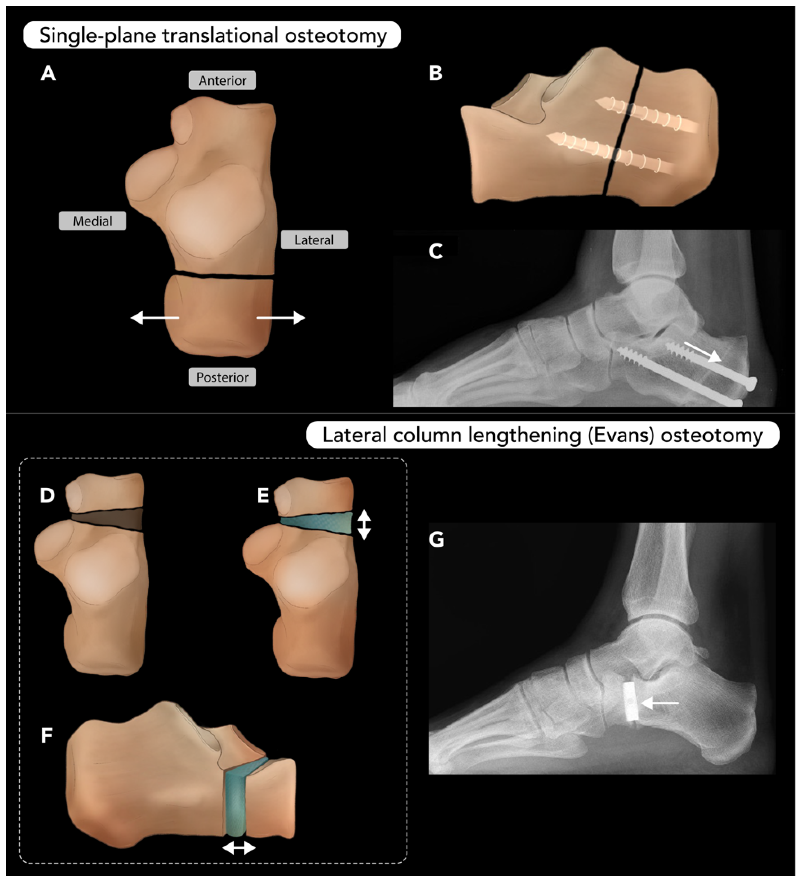 Diagnostics 15 01184 g013