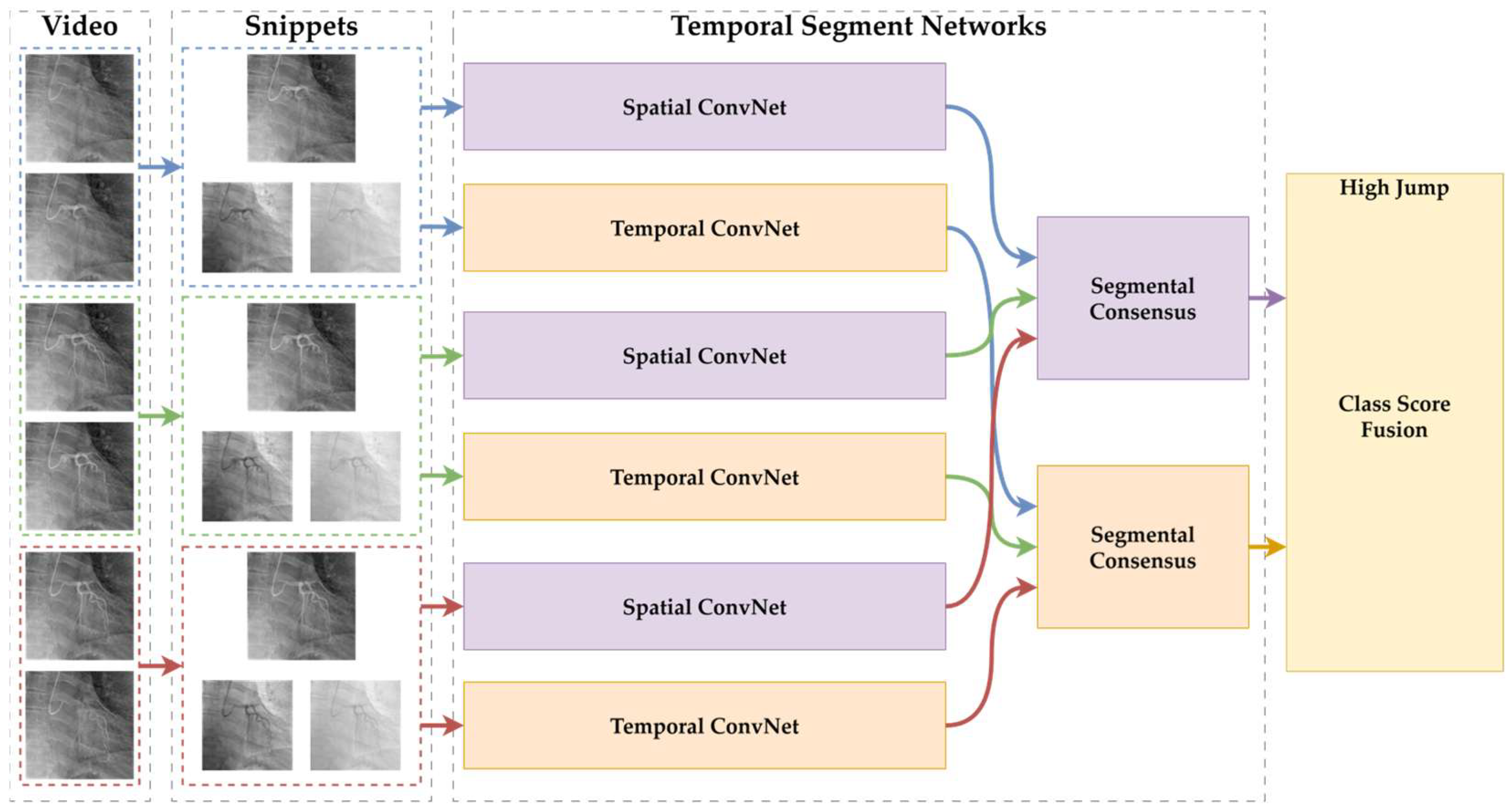 Diagnostics 15 01186 g001