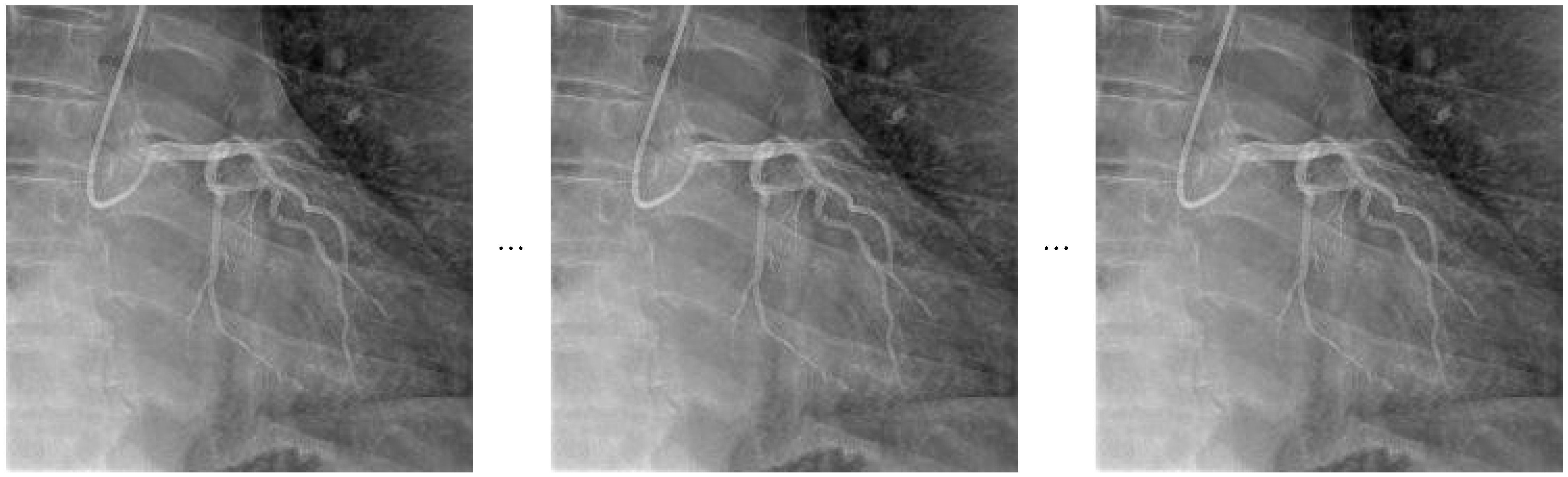 Diagnostics 15 01186 g002