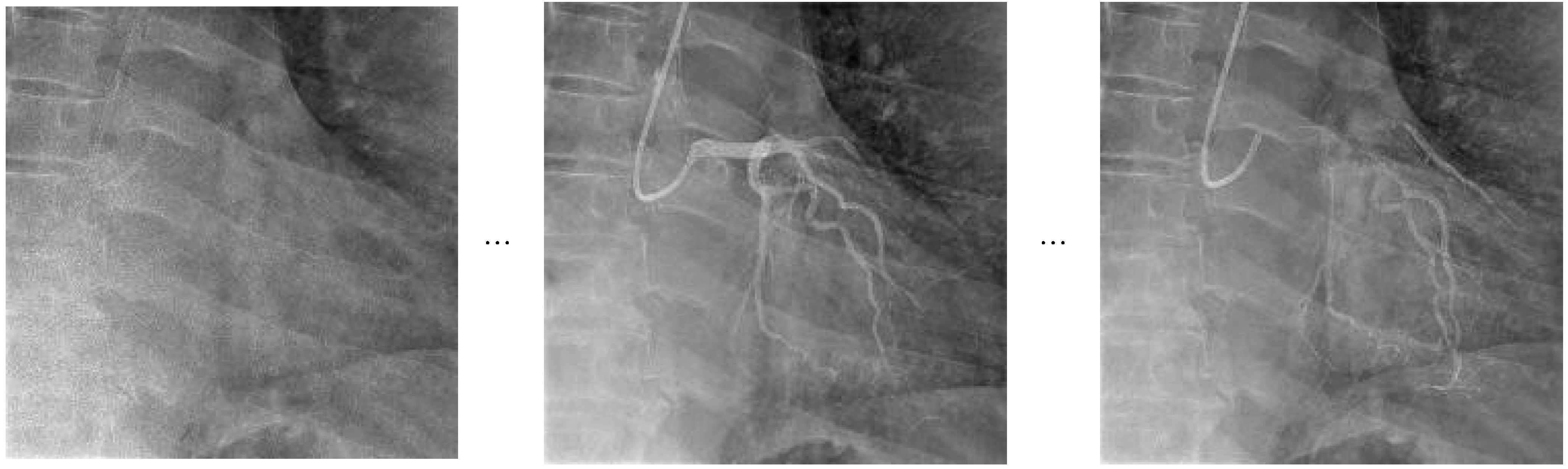 Diagnostics 15 01186 g006