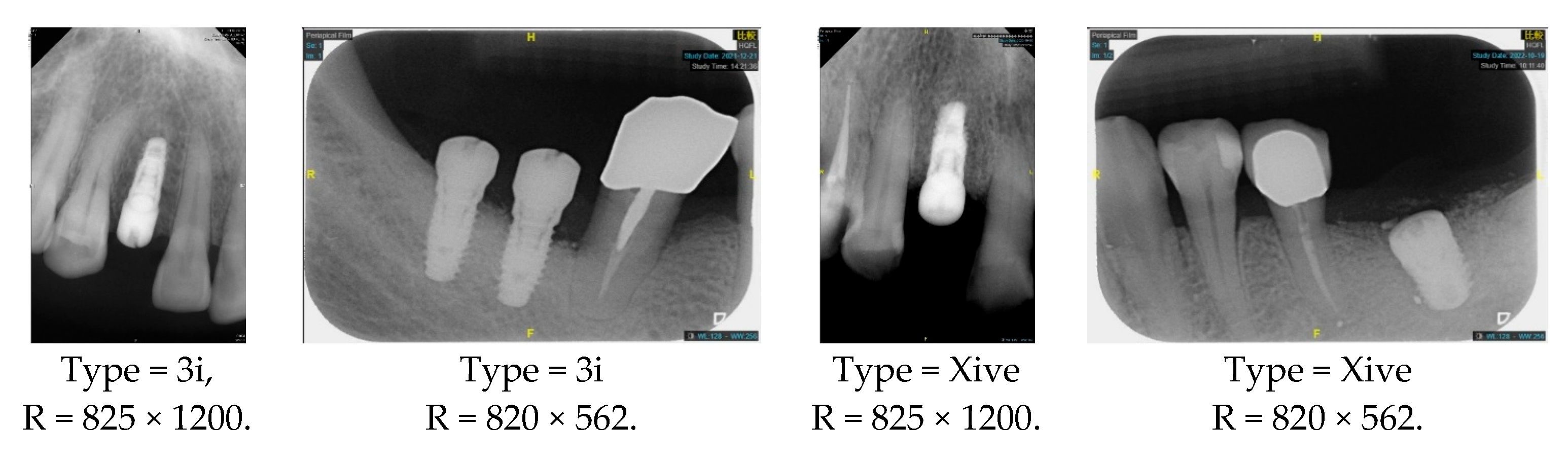 Diagnostics 15 01194 g001