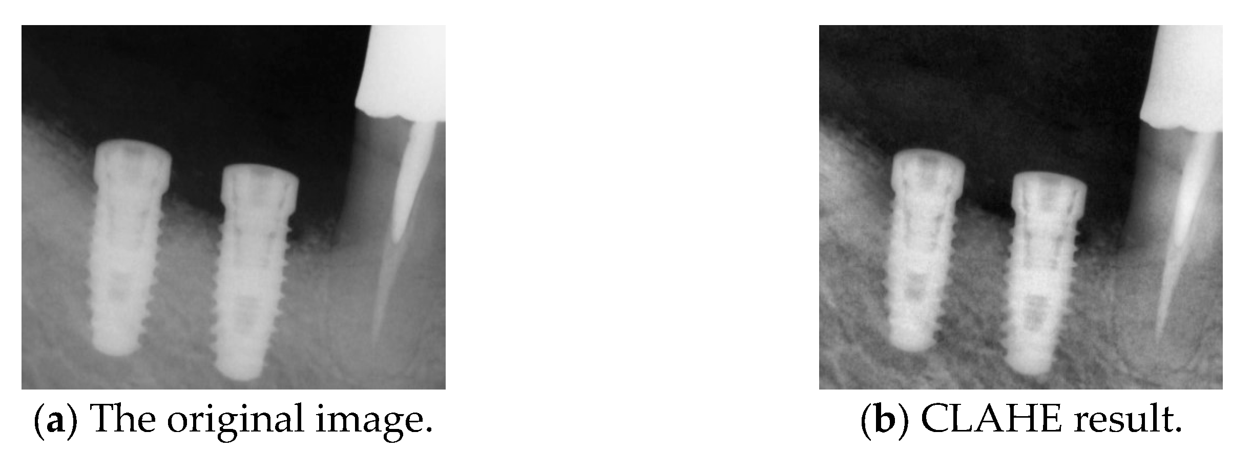 Diagnostics 15 01194 g008