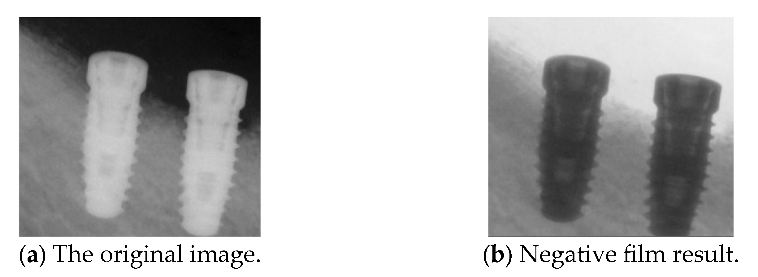 Diagnostics 15 01194 g010