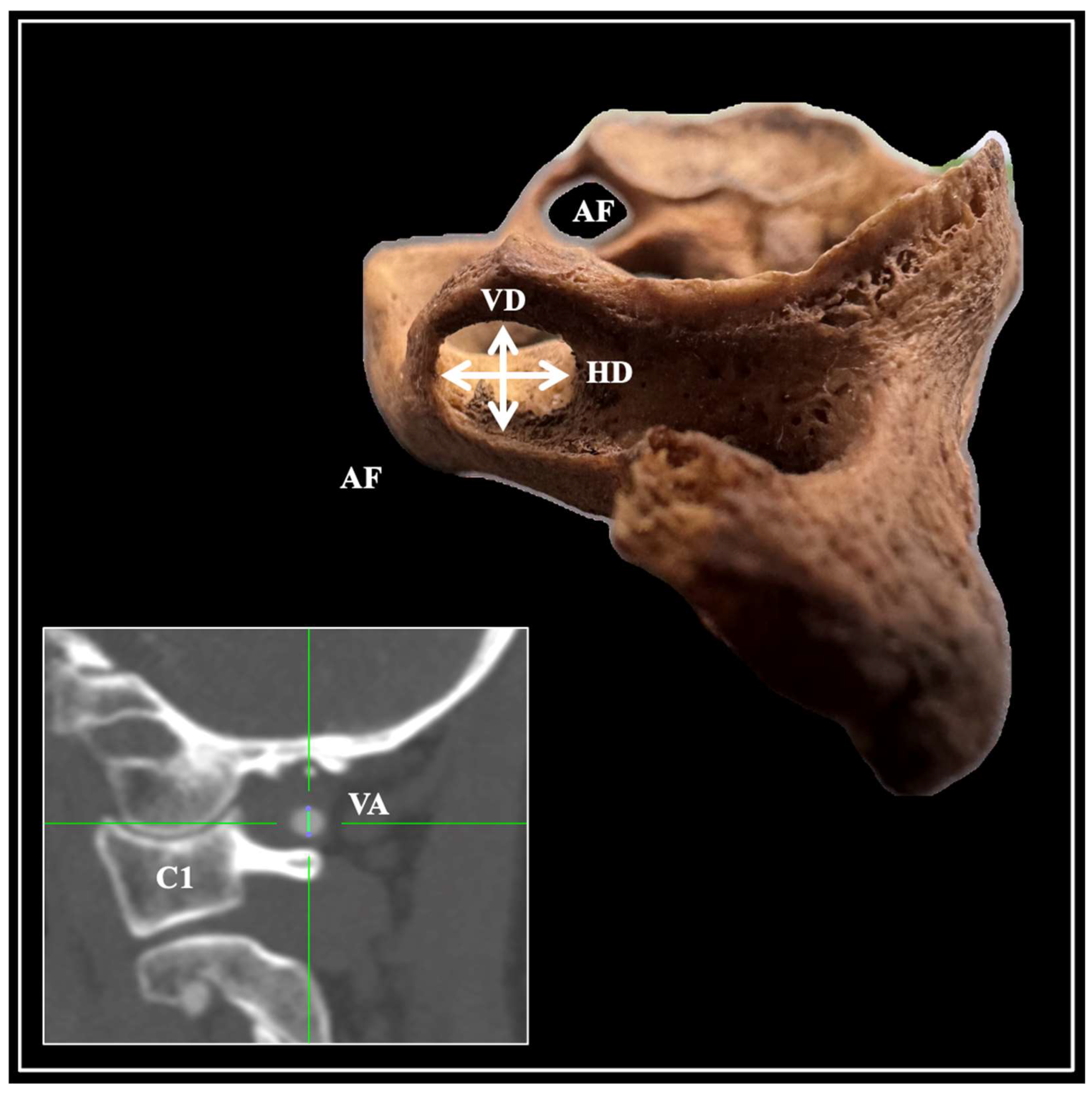 Diagnostics 15 01203 g002