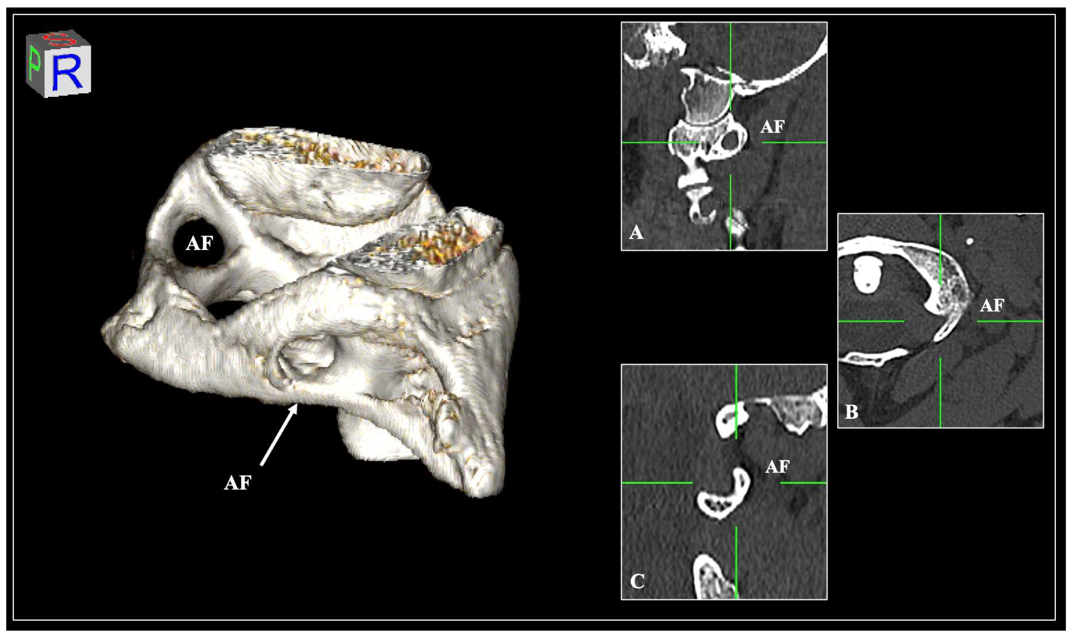 Diagnostics 15 01203 g004