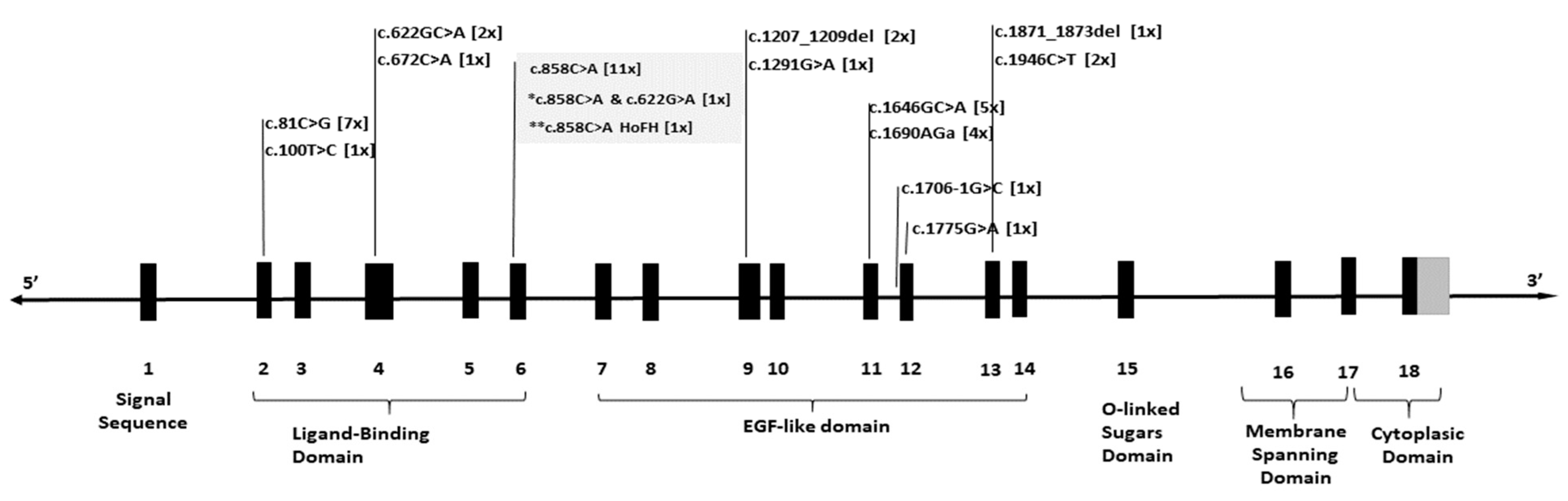 Diagnostics 15 01212 g001