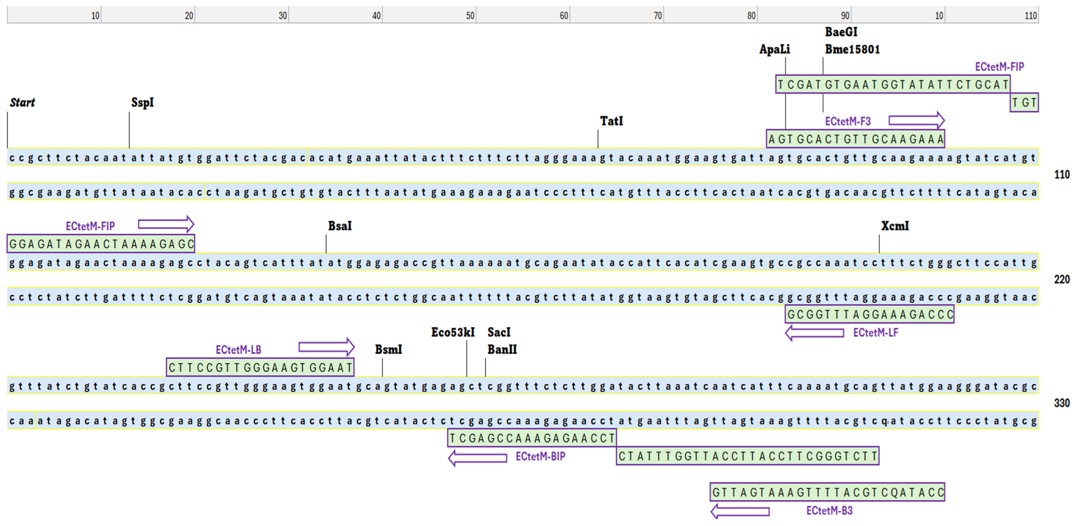 Diagnostics 15 01213 g001