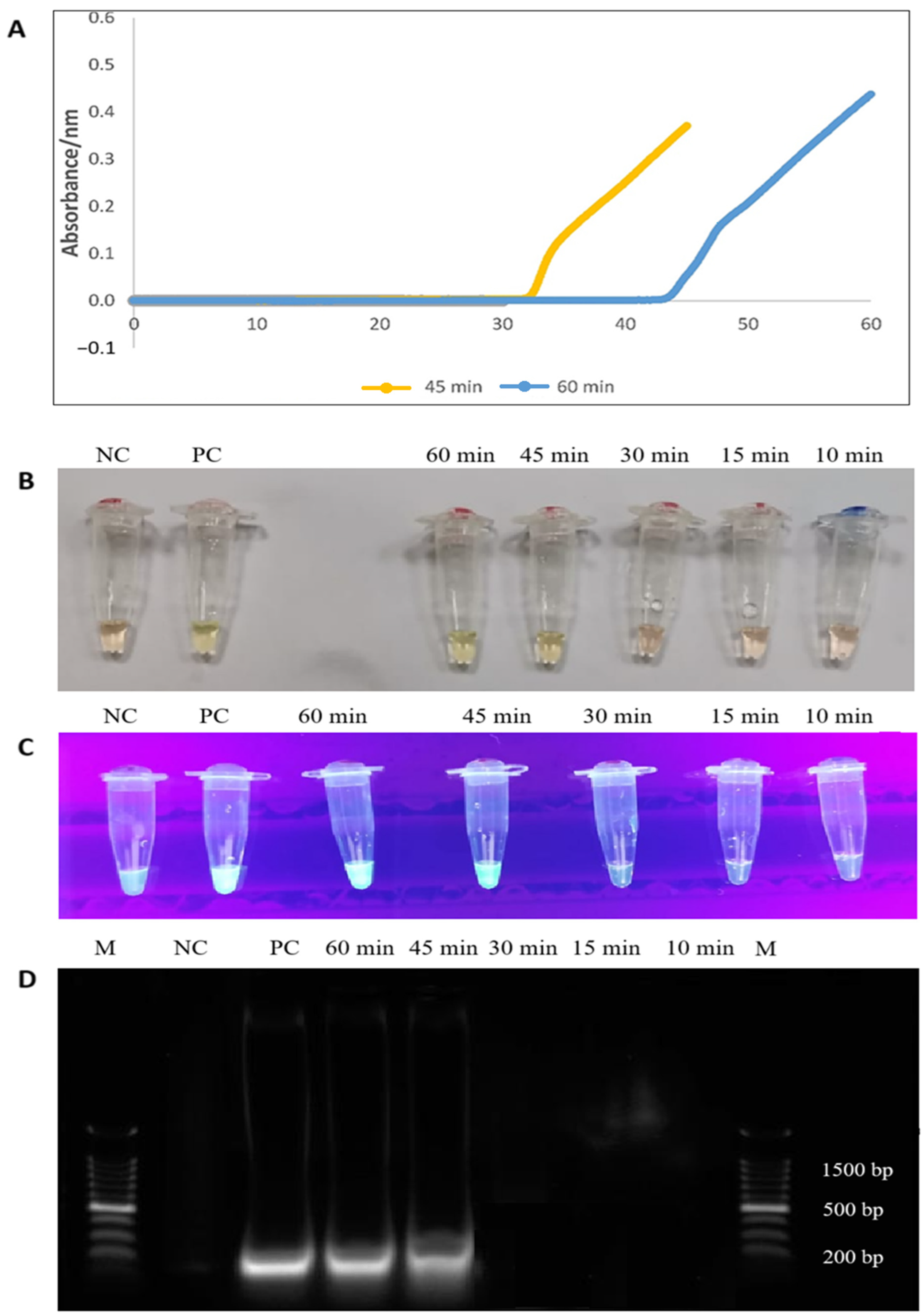 Diagnostics 15 01213 g003