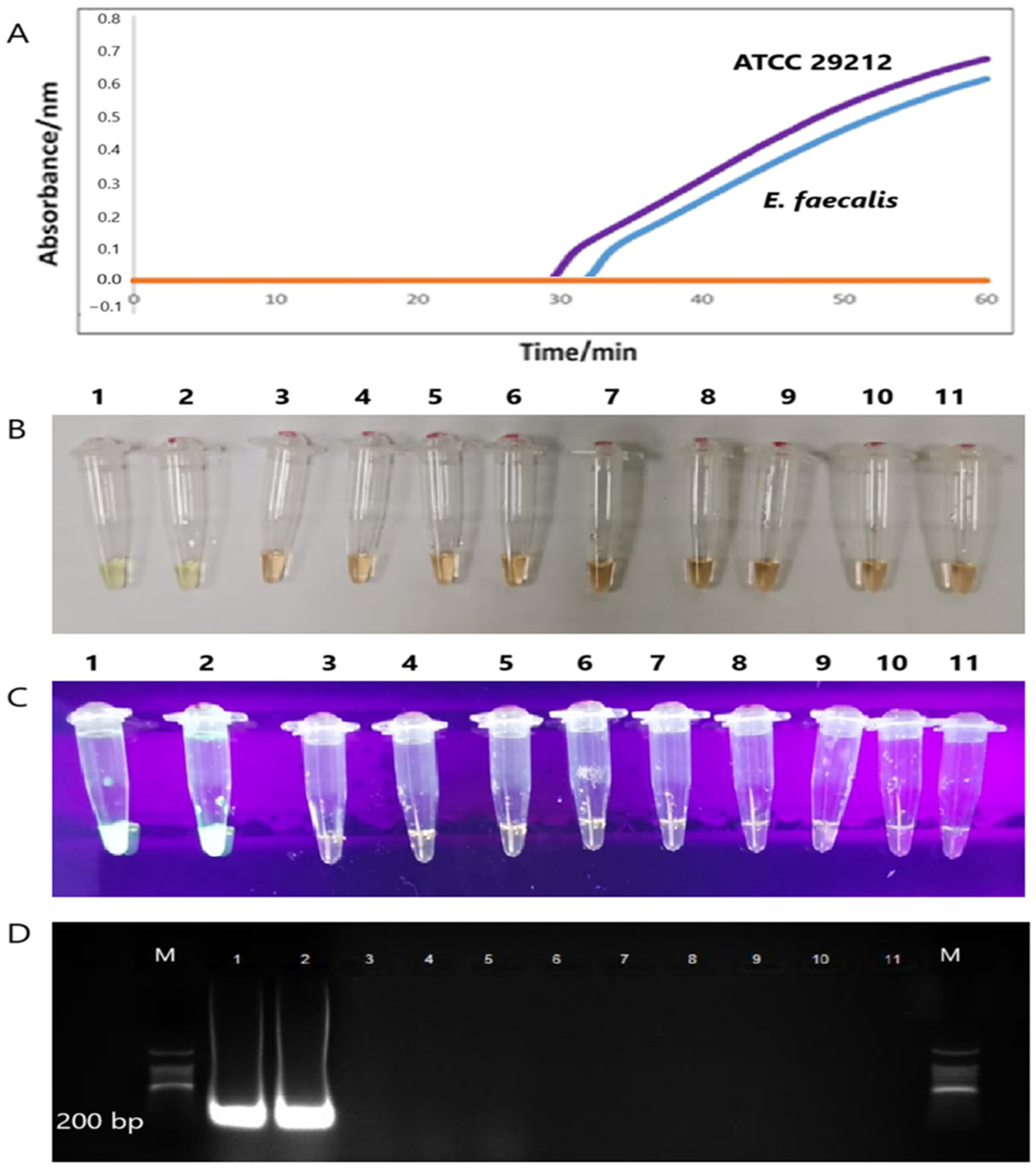 Diagnostics 15 01213 g004